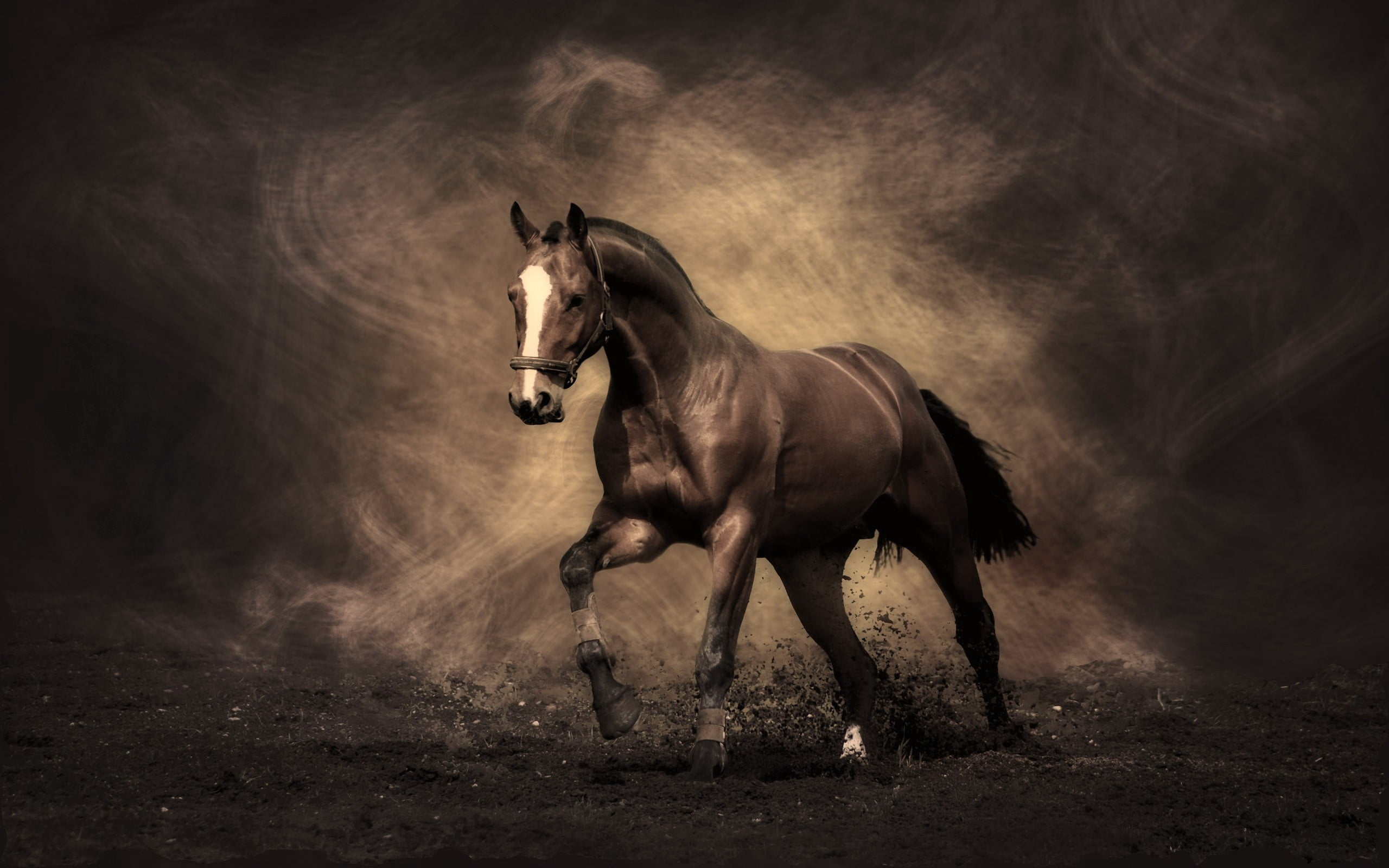 thoroughbred Horse, animal, paddock, domestic, livestock, smoke, meadow, riding, mammal, horse, beauty In Nature, full length, one animal, 2K, HD Wallpaper