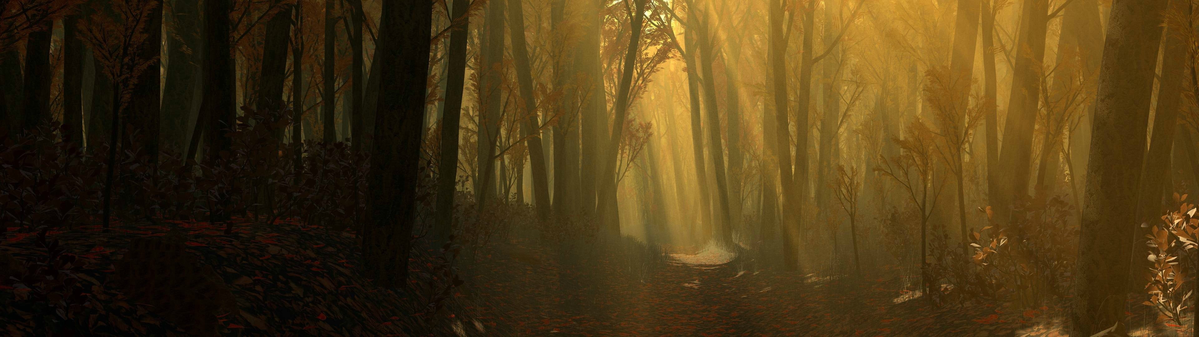 autumn, trunk, yellow, no people, land, curtain, 4K, sunset, forest, outdoors, nature, leaves, path, landscape, beauty in nature, tranquil scene, tree trunk, HD Wallpaper