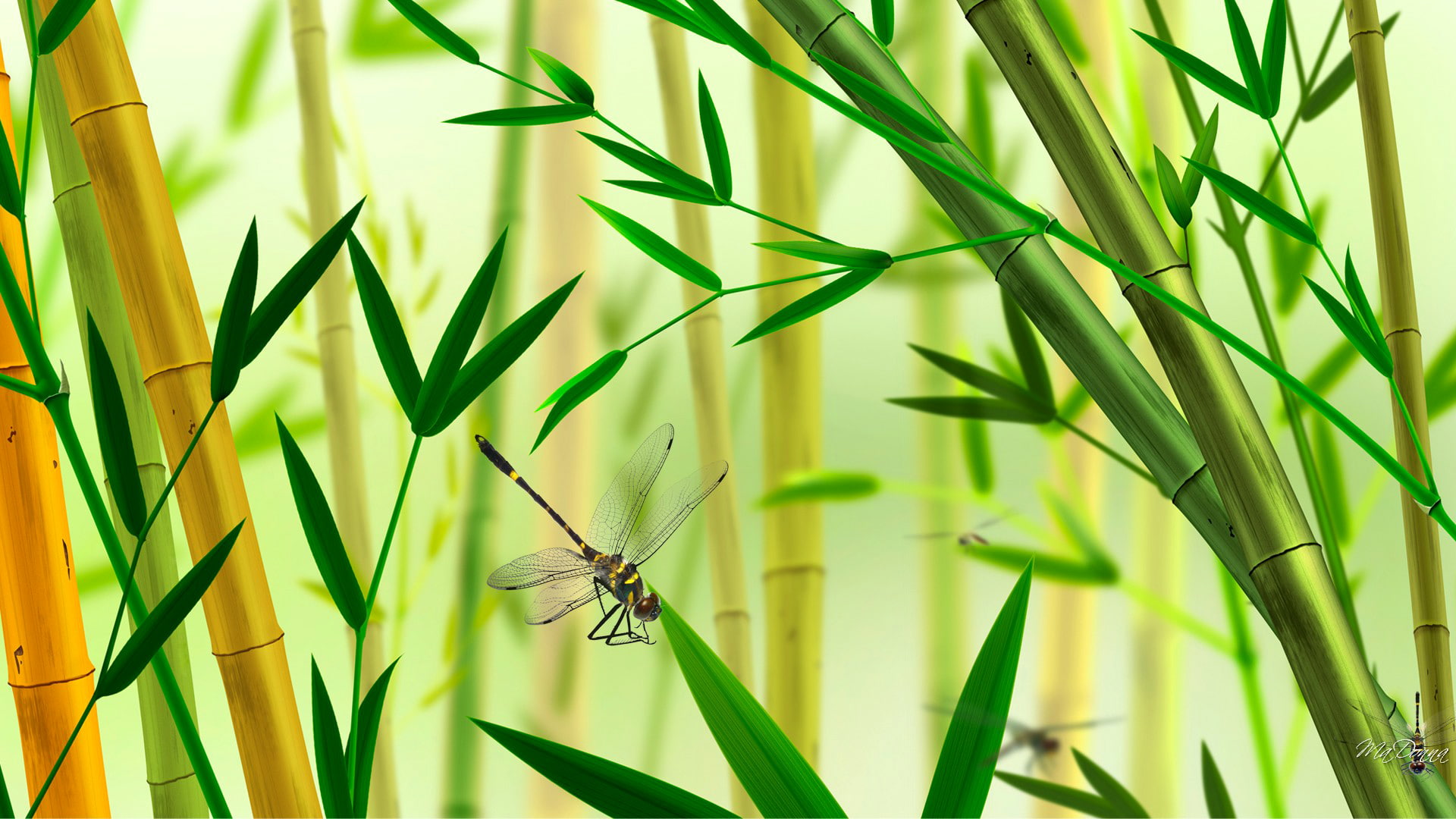 bamboos, beauty in nature, focus on foreground, insect, bamboo, zoology, day, animal, collage, 1080P, growth, animal themes, green, yellow, animal wing, HD Wallpaper