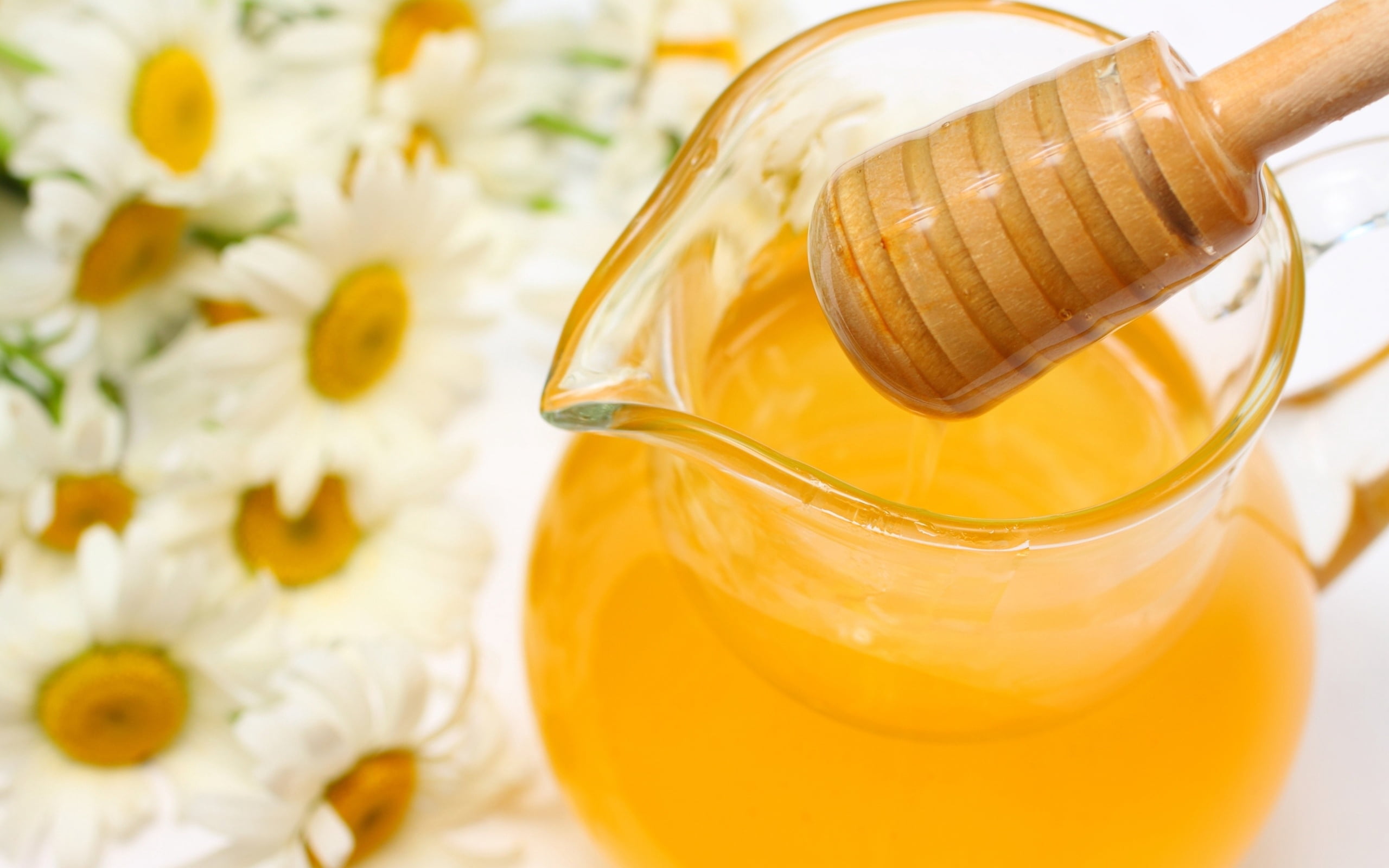 glass - material, breakfast, sweet, backgrounds, no people, jug, nature, wellbeing, food, container, ingredient, tea, honey, close-up, tool, white, freshness, HD Wallpaper