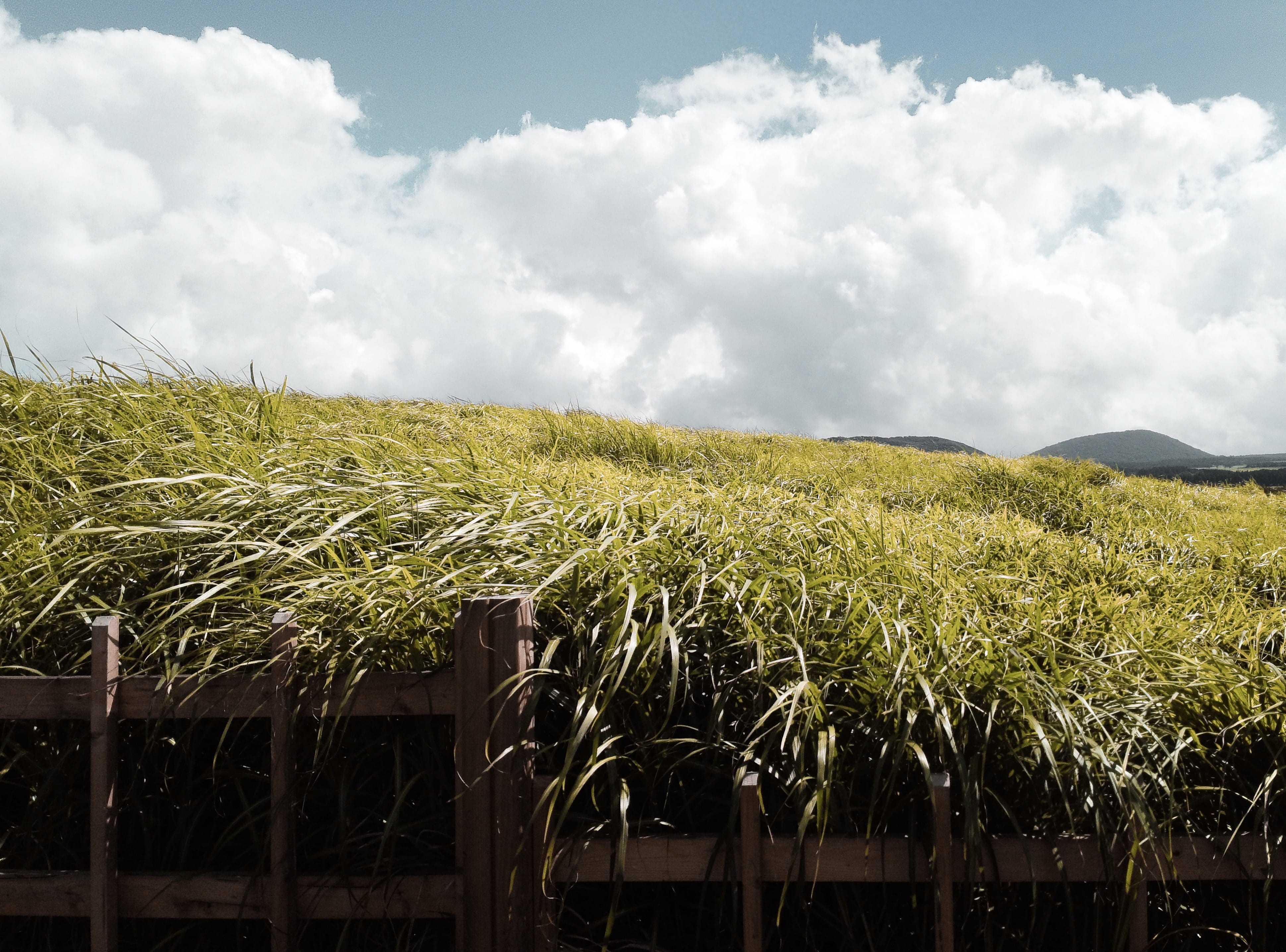 plantation, growth, farm, scenics - nature, sky, mountain, crop, building, green color, arbour, 4K, day, garden, land, environment, cloud, landscape, countryside, HD Wallpaper