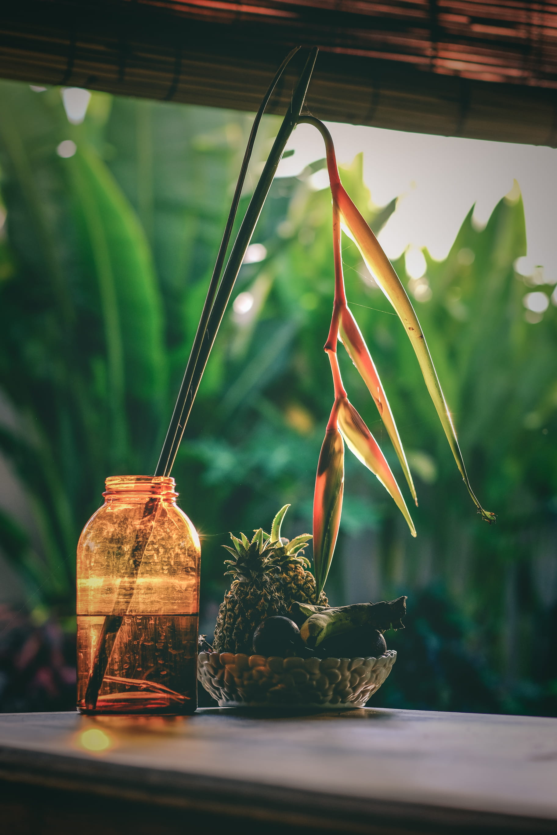 green color, livingroom, green, indoors, plant part, nature, window, glass, 2K, birds, no people, transparent, pineapple, blind, orange, home interior, Phone HD Wallpaper