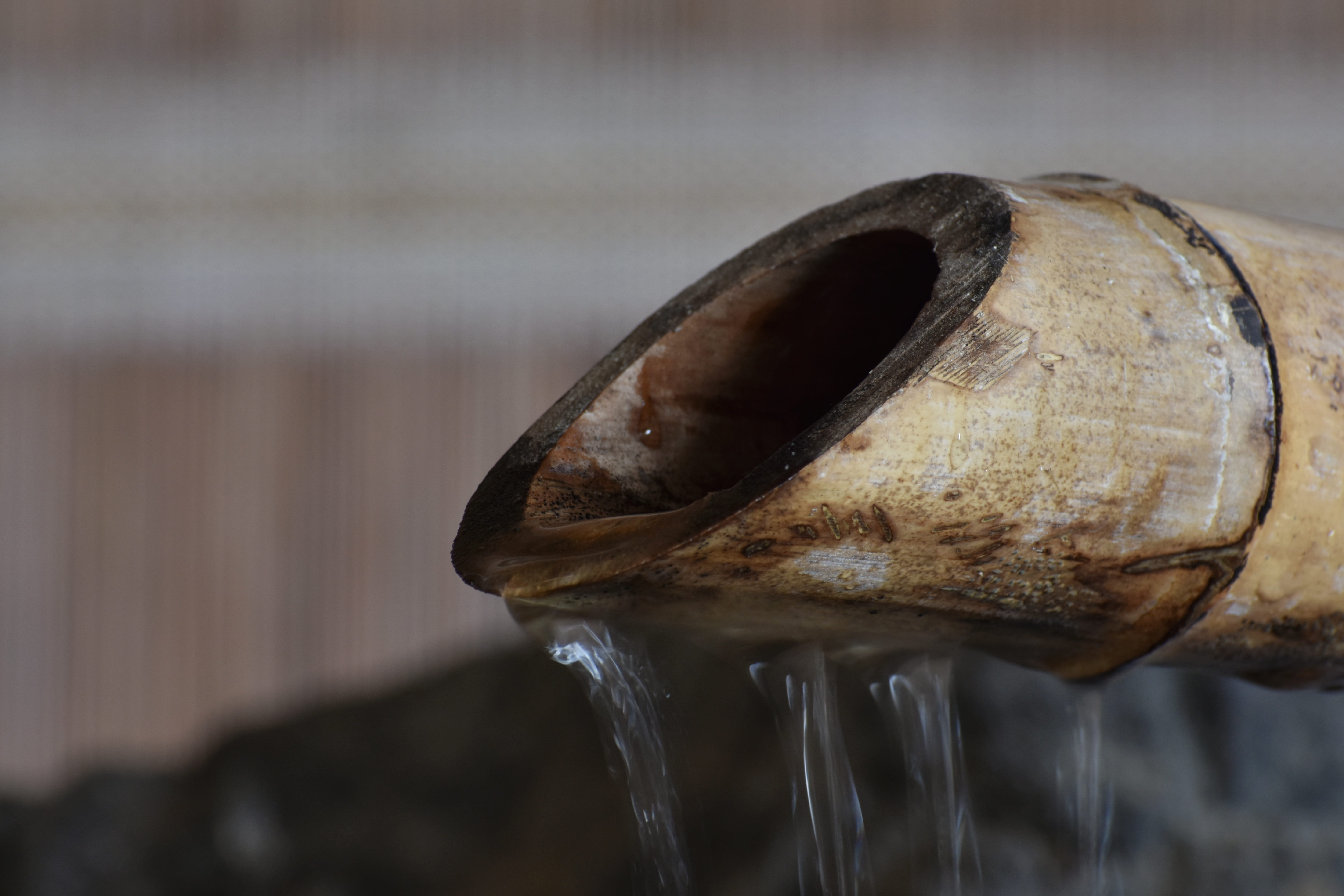 falling, metal, one animal, old, bamboo, water, wood - material, any room, flowing water, animal body part, outdoors, 5K, motion, day, still life, japan garden, HD Wallpaper