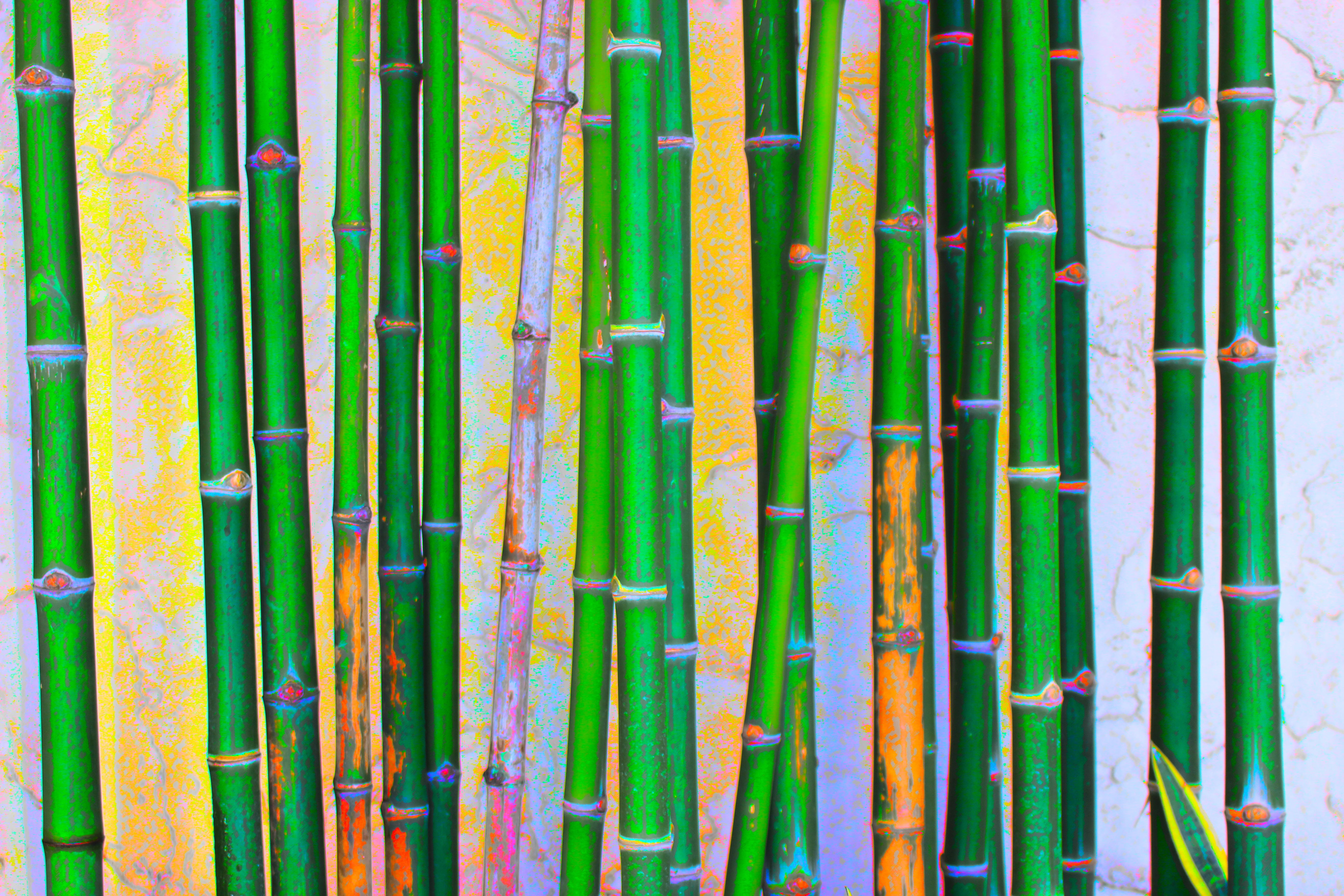 bamboo - plant, outdoor, oriental, painting, day, botanical, tropical, no people, in a row, design, blooming, outdoors, textured, texture, color, backgrounds, HD Wallpaper