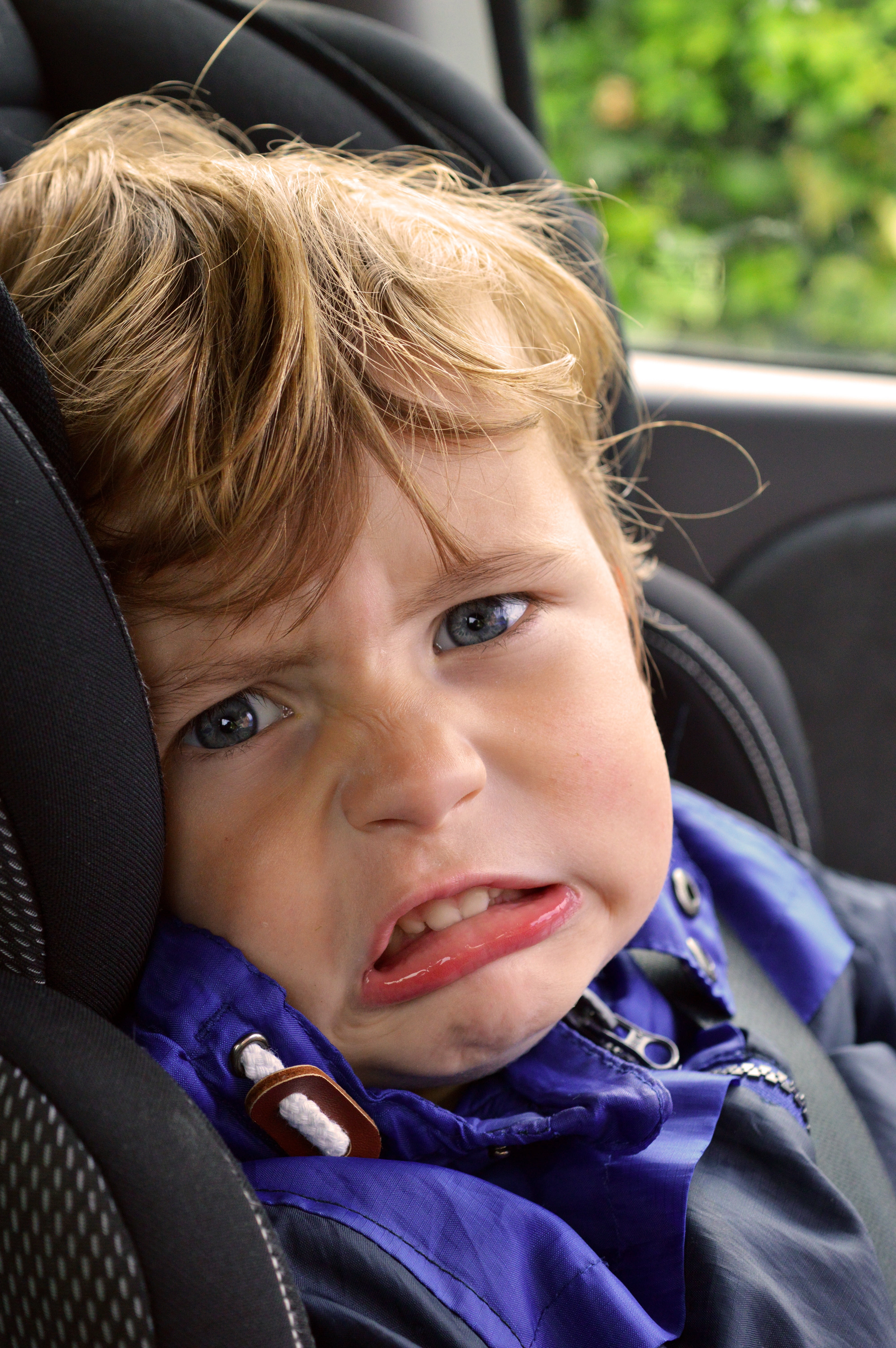 driving, photography, travel, one Person, childhood, unhappy, leisure activity, toddler, seat Belt, blue, vehicle interior, jacket, caucasian Ethnicity, Phone HD Wallpaper