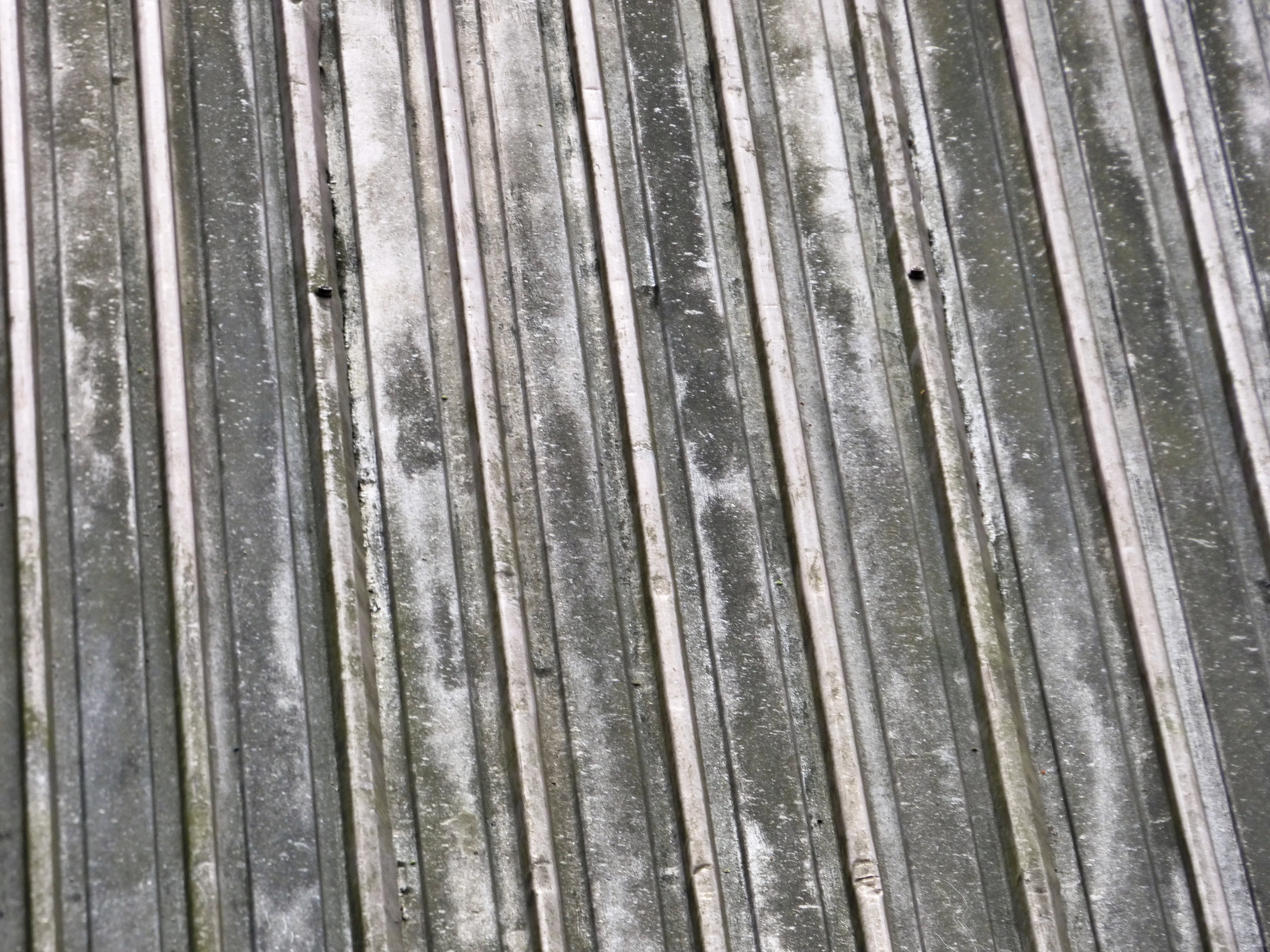 in a row, bamboo - plant, wood - material, 4K, parallel, gray, strips, nature, steel sheet, striped, outdoors, symmetry, texture, plank, pattern, alloy, HD Wallpaper