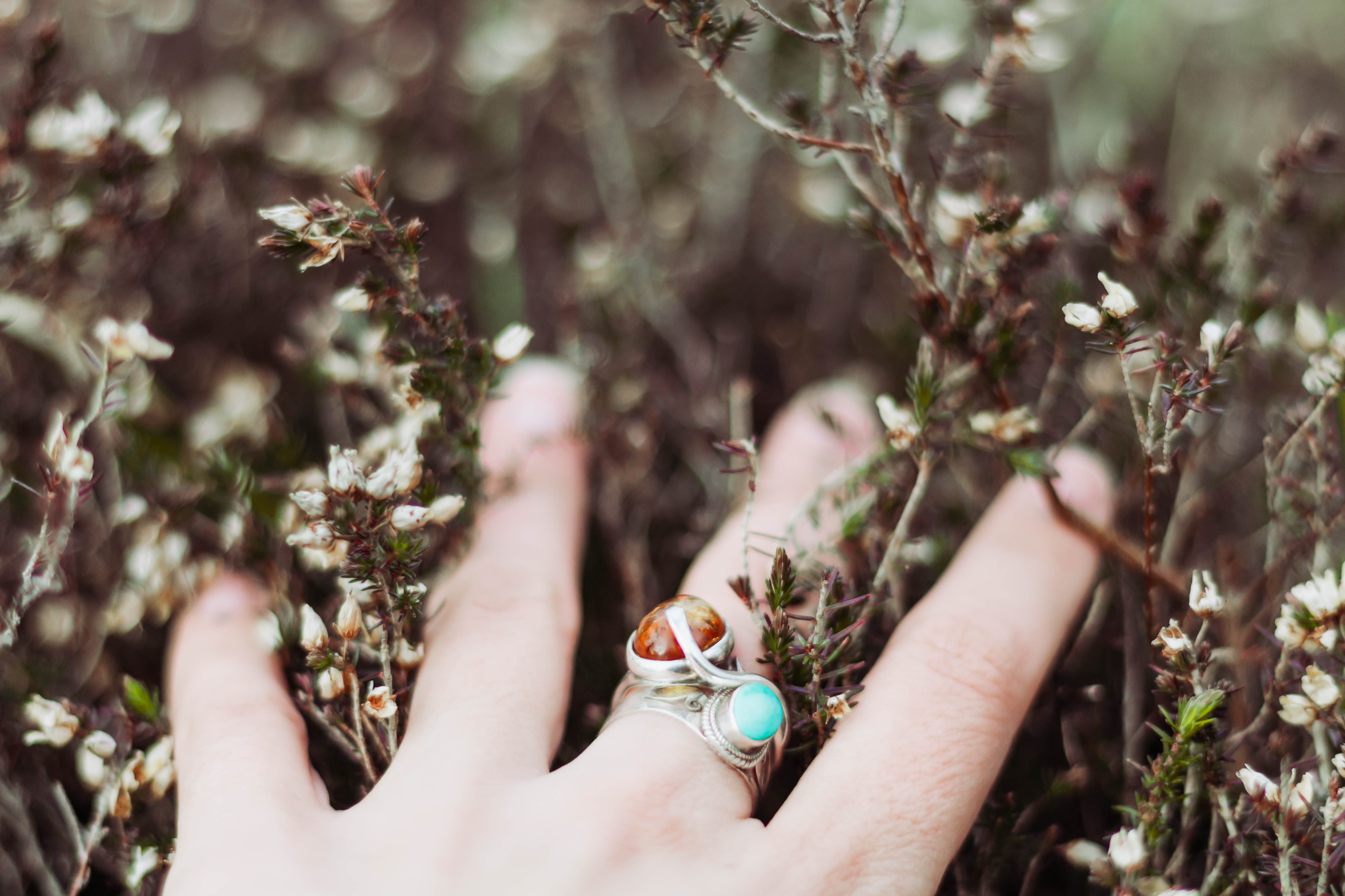 human, growth, human limb, close-up, caress, crystals, freshness, lifestyles, placement, bypass, person, one person, day, flower, accessory, accessories, HD Wallpaper
