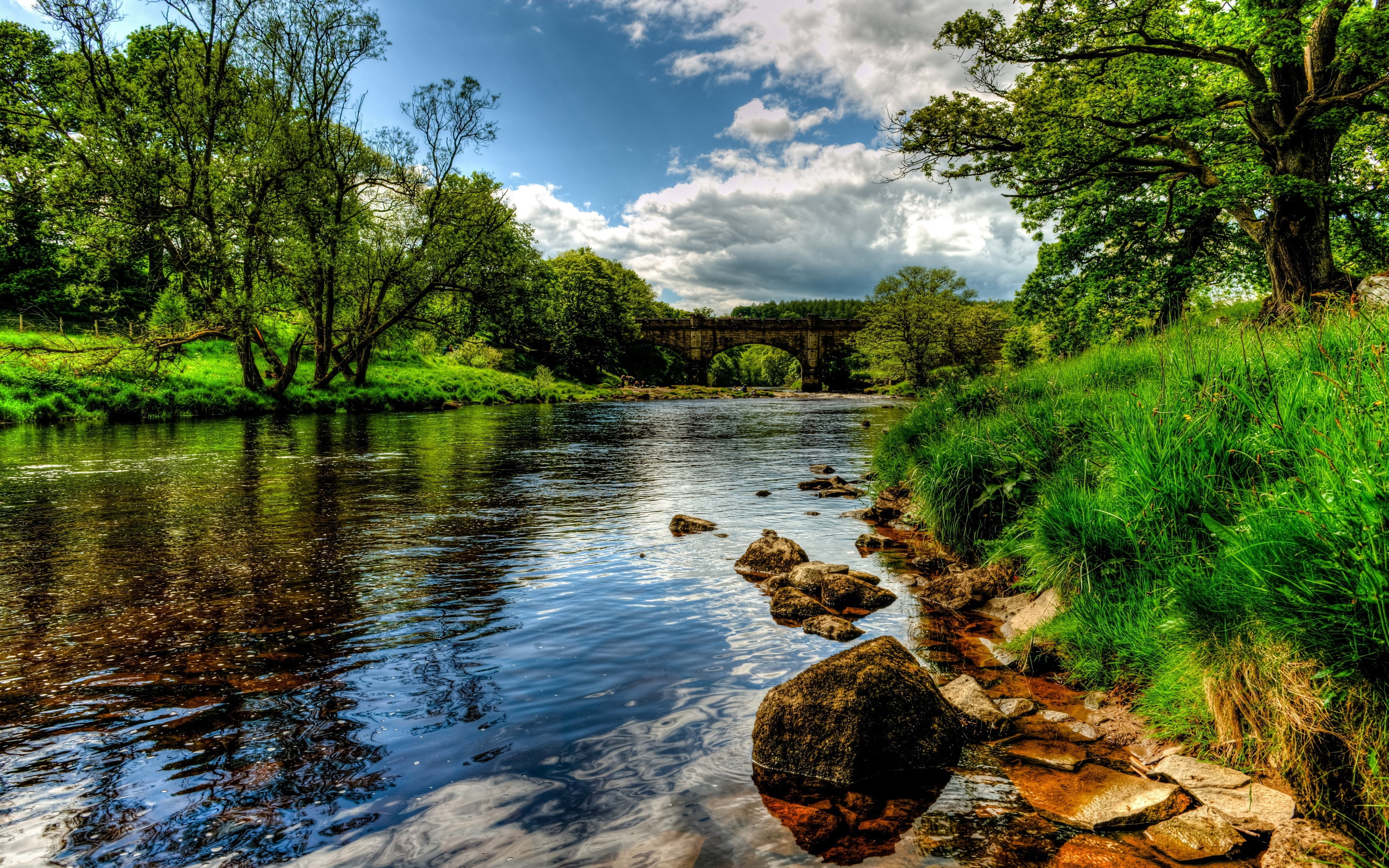 reflection, green color, england, day, photos, growth, scenics - nature, tranquility, water, outdoors, scenery, nature, flowing water, wharfe, HD Wallpaper