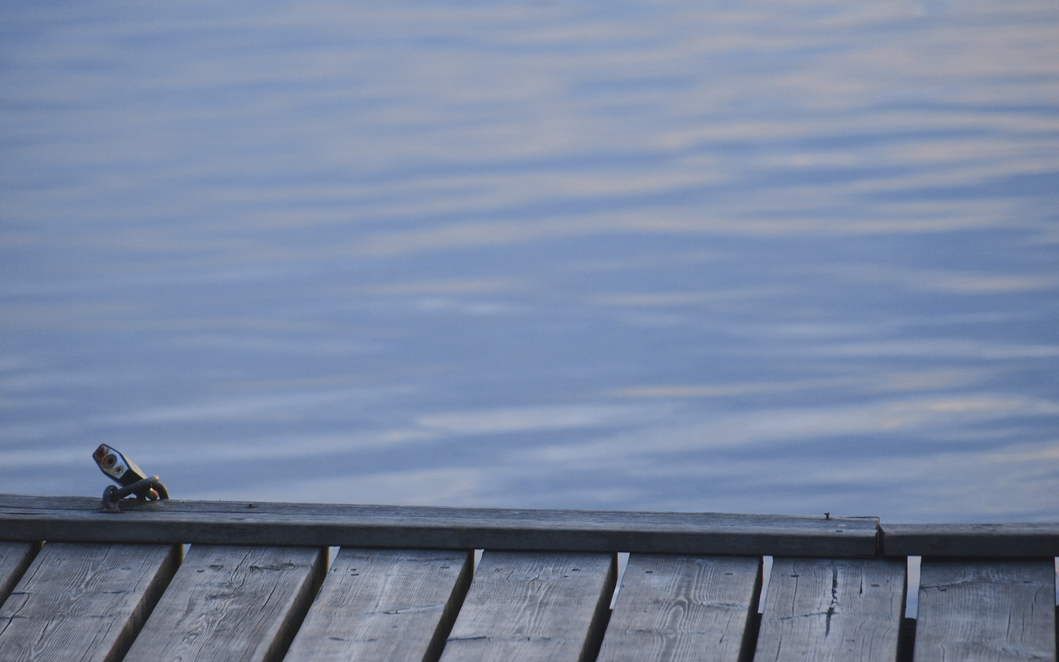 wharf, cloud - sky, animal themes, animal, vertebrate, lock, no people, railing, perching, bird, water, animals in the wild, wood - material, day, seagull, HD Wallpaper