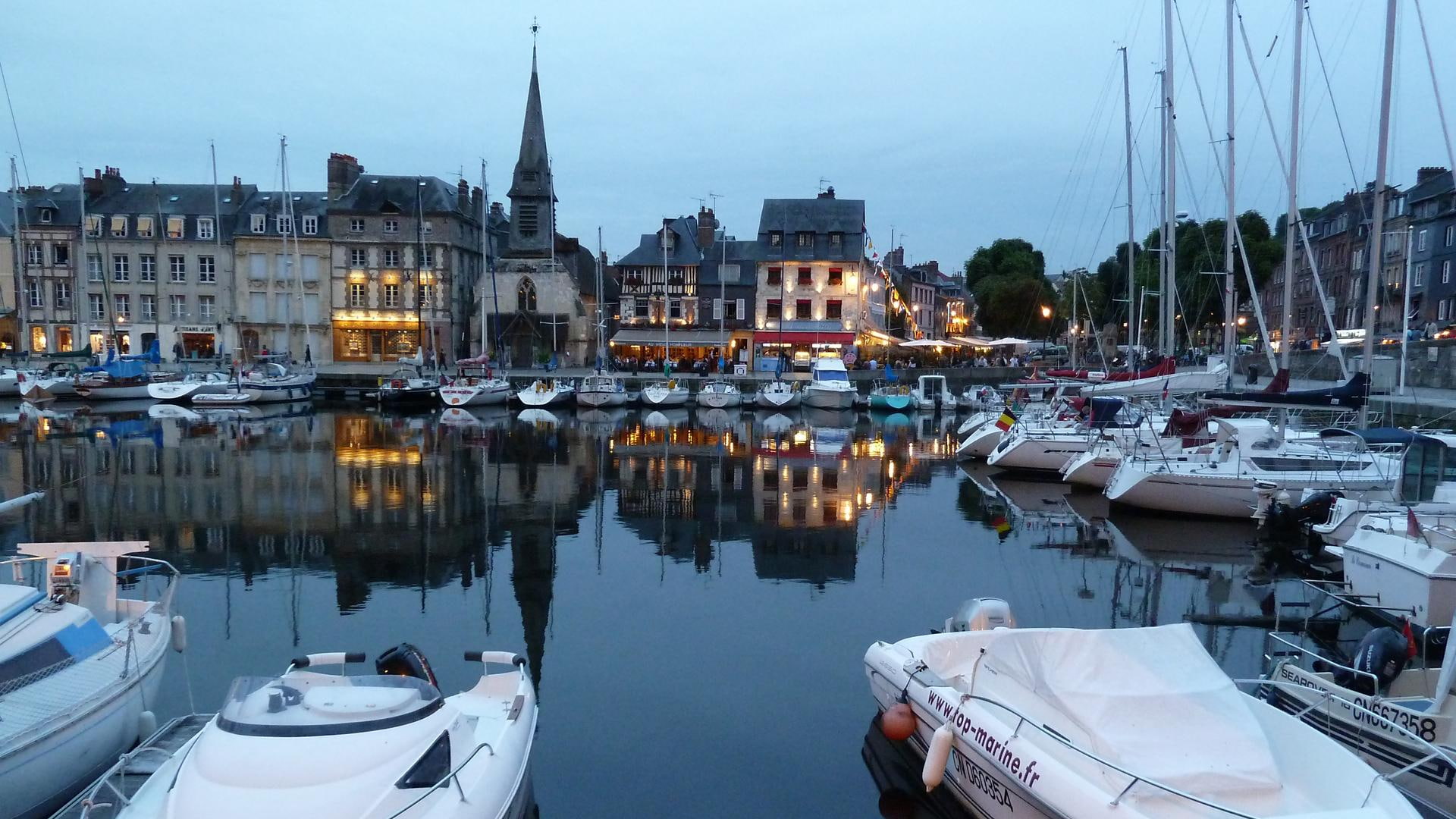 animals, architecture, water, boats, wharf, 1080P, HD Wallpaper