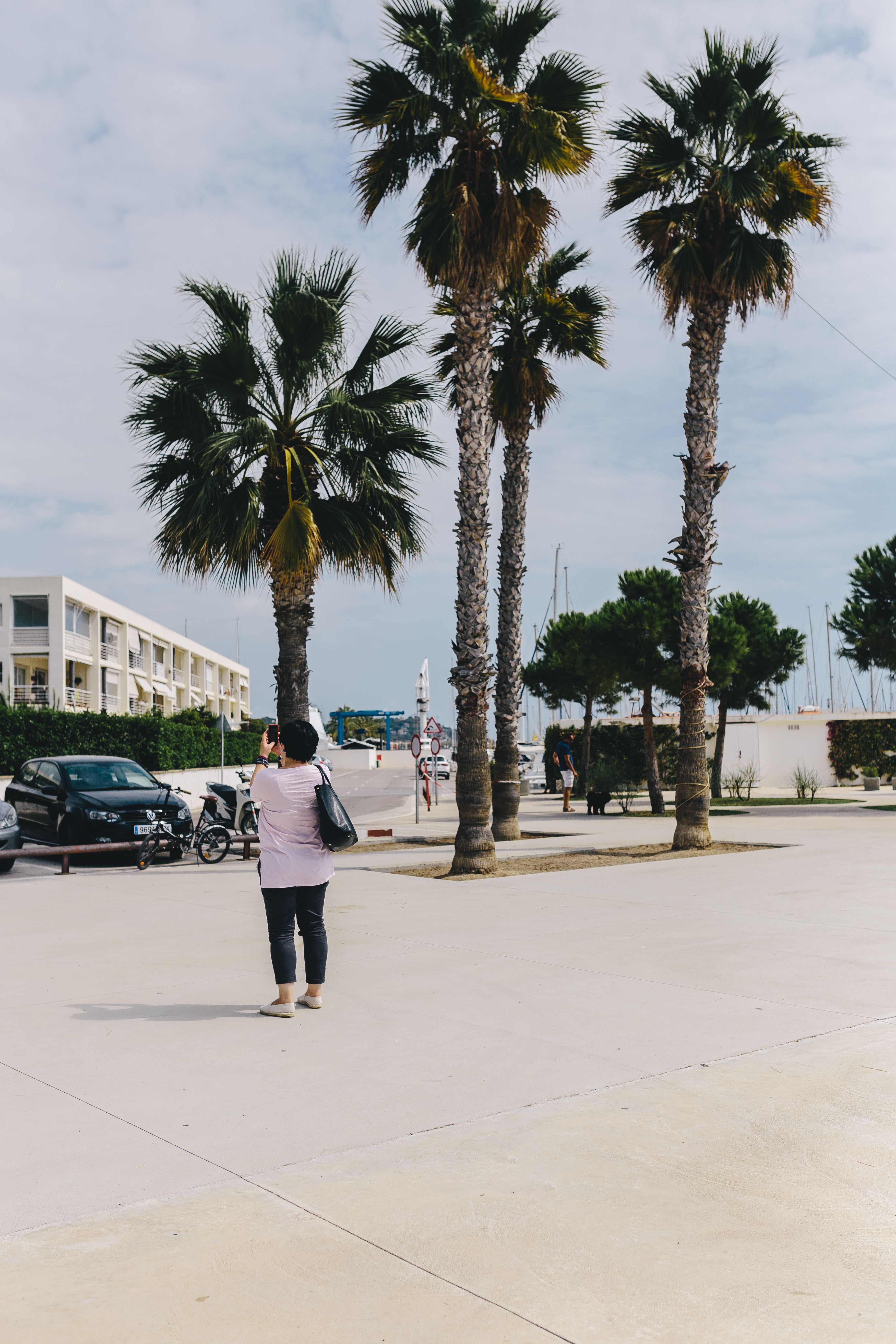 travel, built structure, rear view, boat, sea, day, harbor, plant, tropical tree, architecture, one person, Catalonia, editorial, Spain, tropical climate, Phone HD Wallpaper