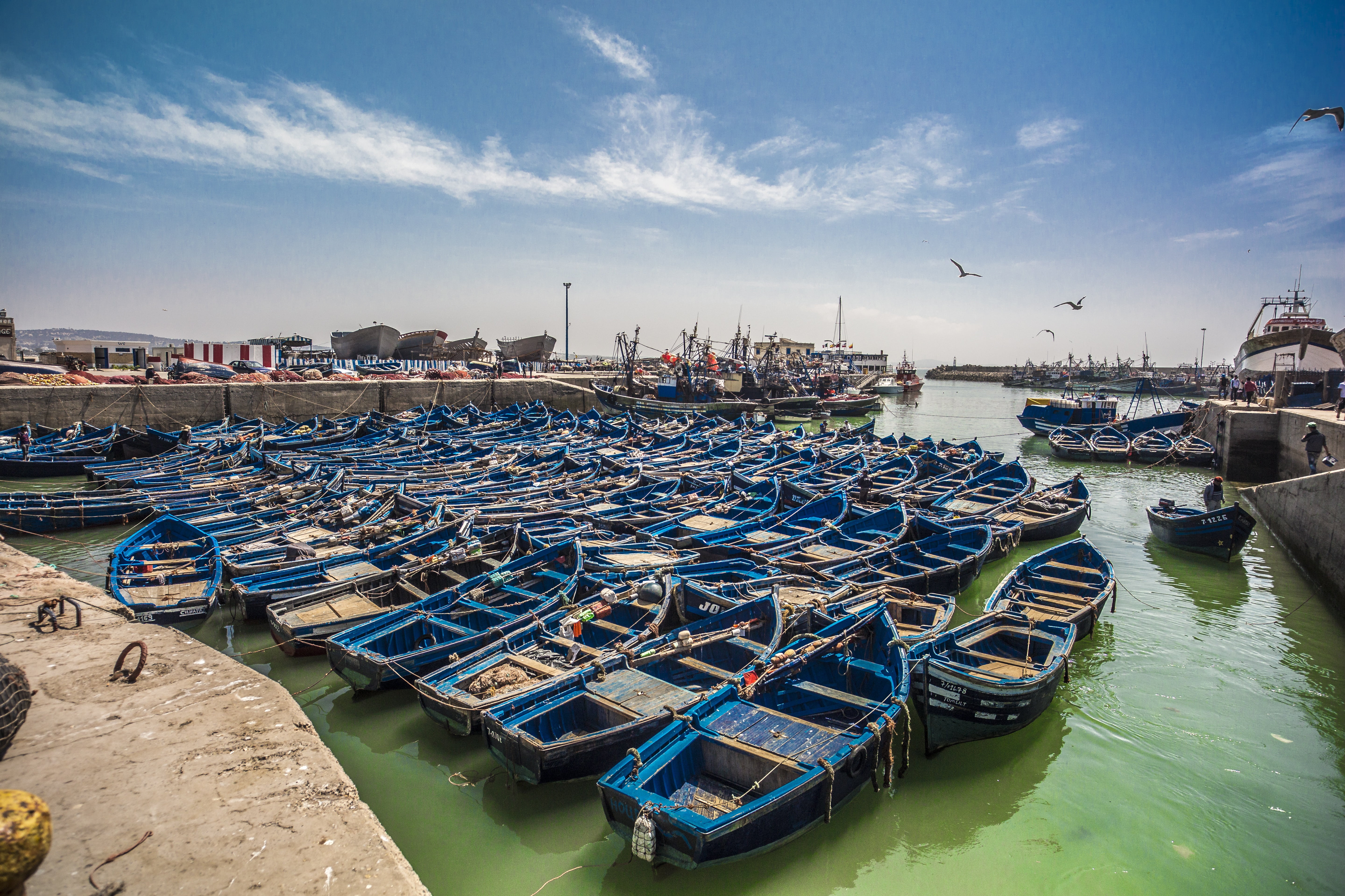 trawler, village, anchorage, tourism, essaouira, town, industry, architecture, traditional fishing, sea, transportation, boat, sky, harbor, picturesque, HD Wallpaper