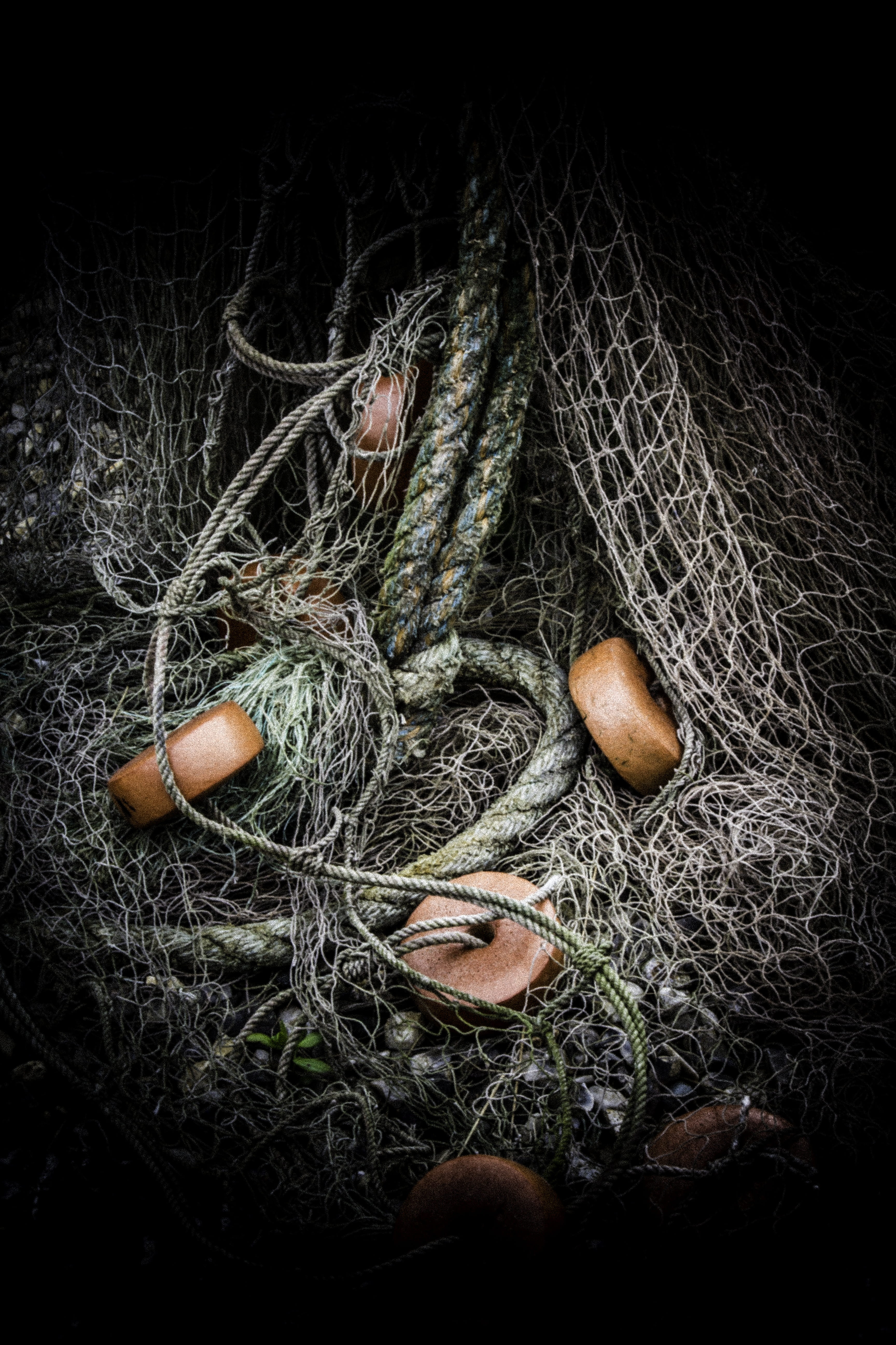 fish, food and drink, fishing, plant, animal egg, fisherman, egg, gray, 5K, photography, rope, animal nest, fishing industry, nature, catch, day, sea, Phone HD Wallpaper