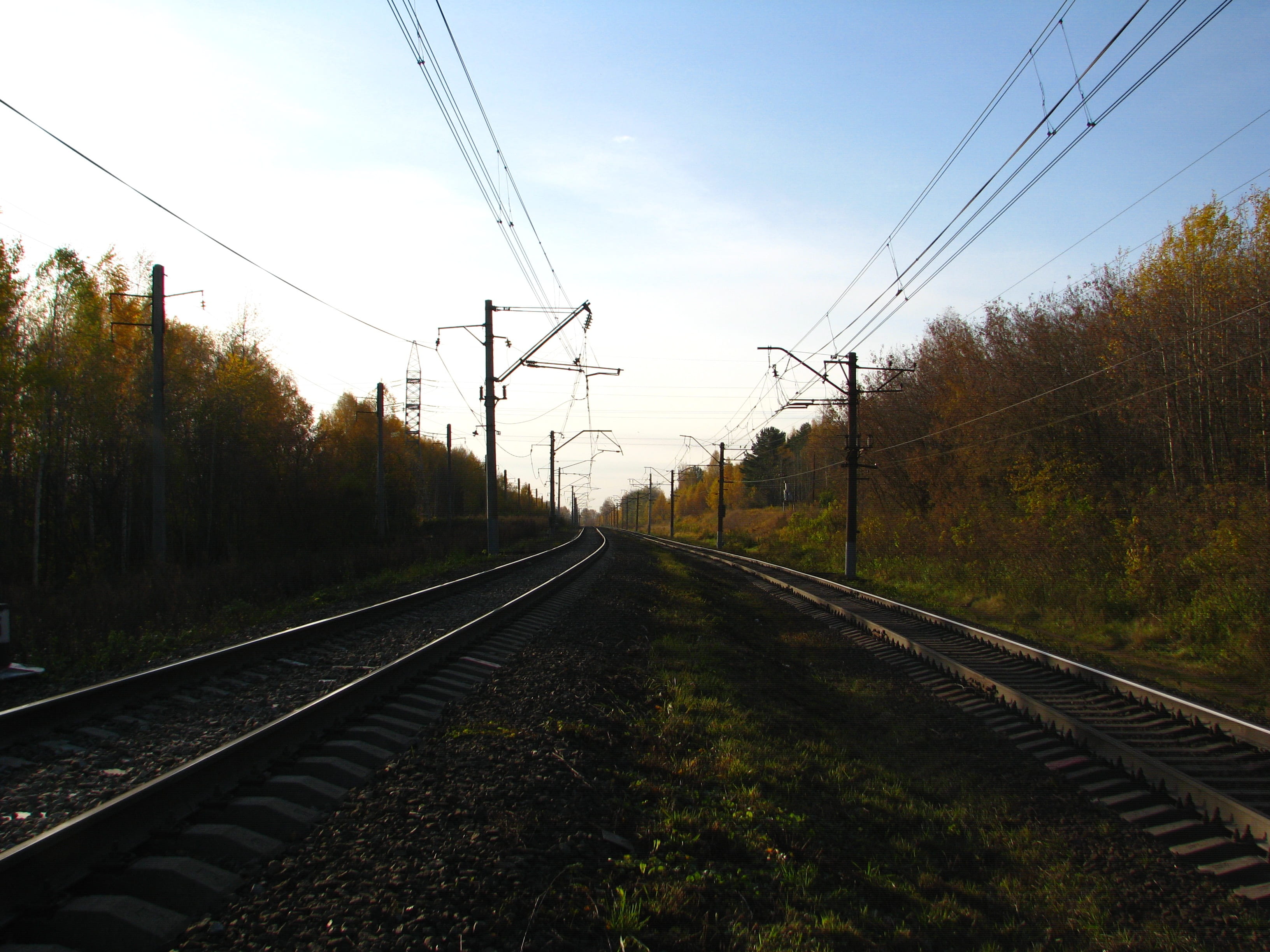 landscape, motion, autumn, gravel, tree, golden autumn, day, sky, sleepers, railway, beauty, power line, outdoors, transportation, yellow leaves, direction, HD Wallpaper