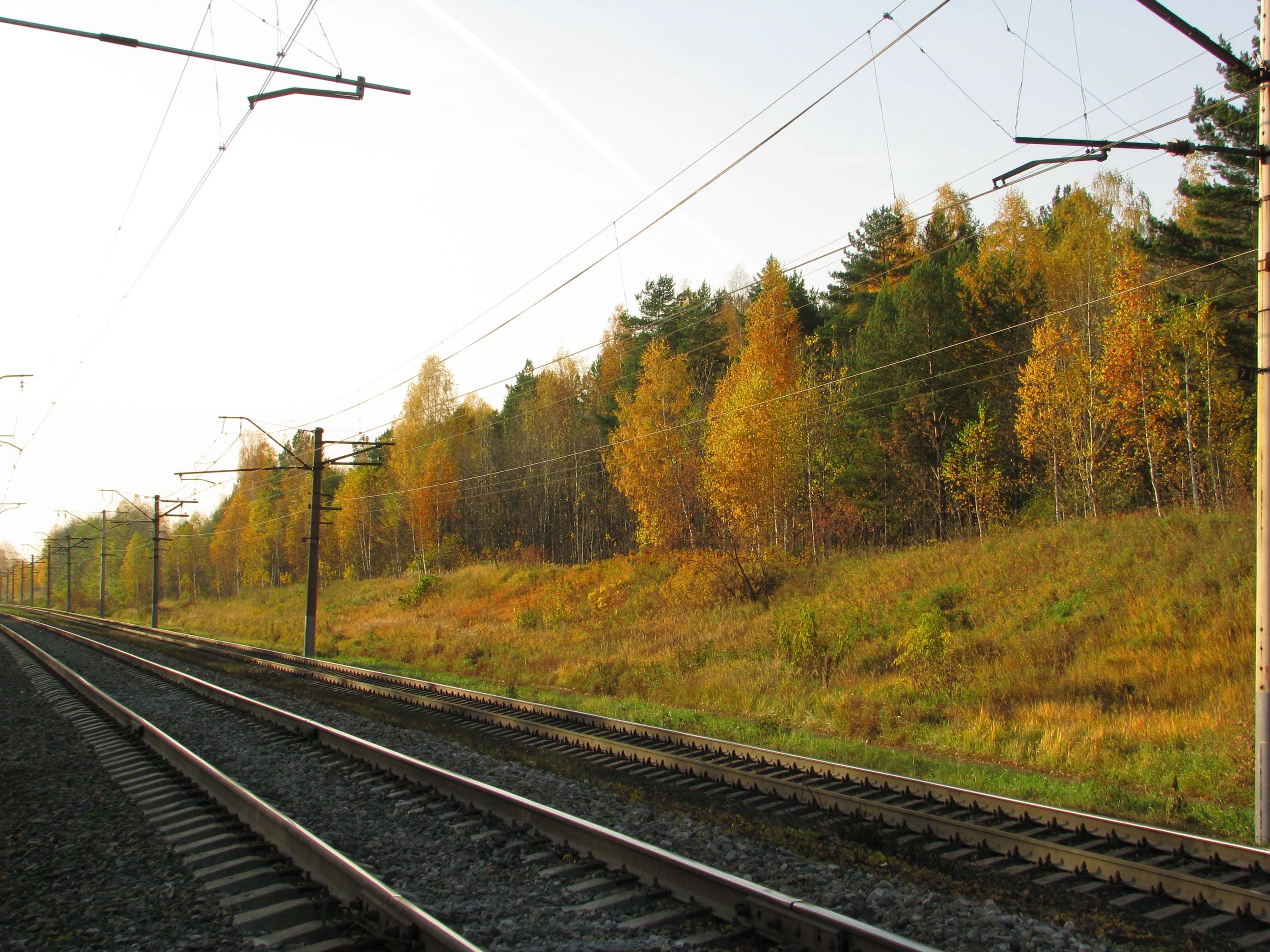 motion, connection, rails, technology, perm krai, public transportation, sleepers, plant, beauty, 2K, electric train, autumn forest, stroll, landscape, HD Wallpaper
