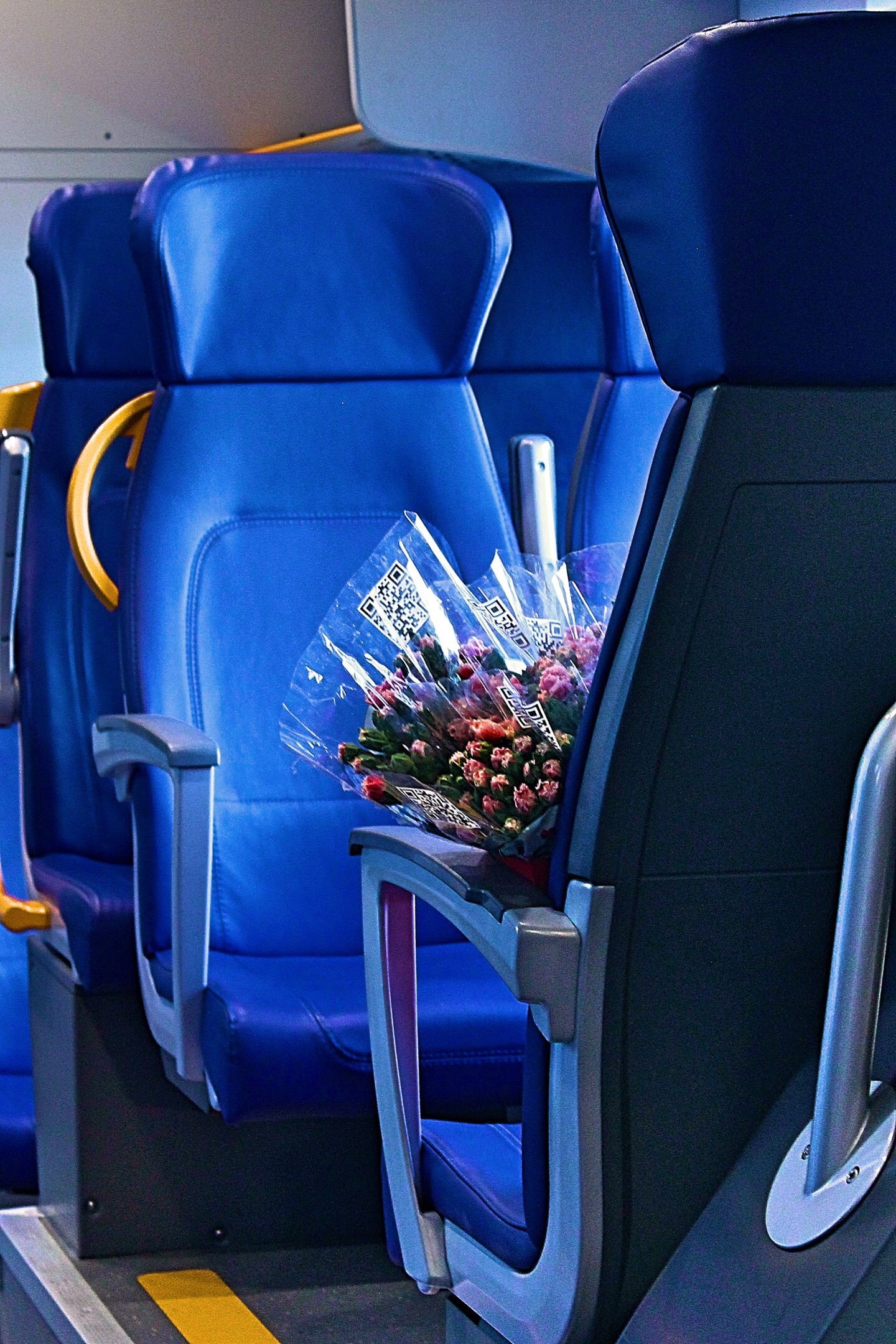 elektrichka, absence, flower, flowering plant, land vehicle, indoors, transportation, journey, bouquet, seat, train, chair, plant, vehicle interior, no people, Phone HD Wallpaper