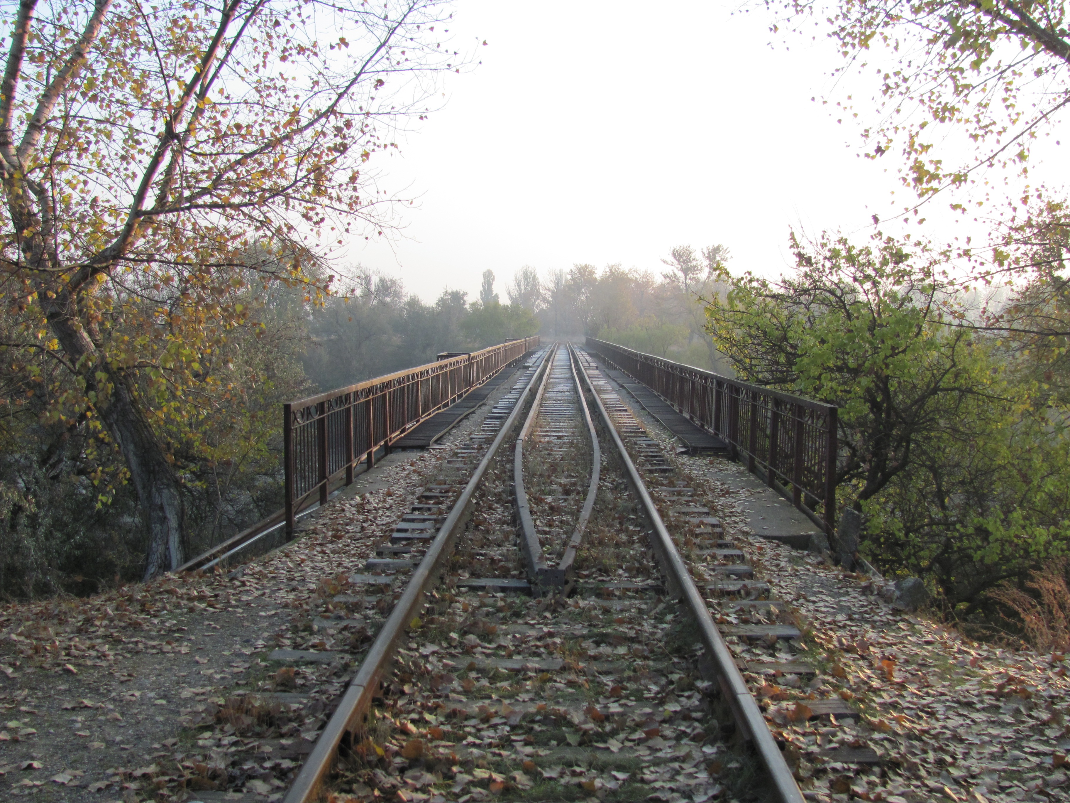 change, parallel, the way, connection, rail transportation, no people, transportation, direction, growth, nature, autumn, outdoors, fog, tree, rail, sleepers, HD Wallpaper