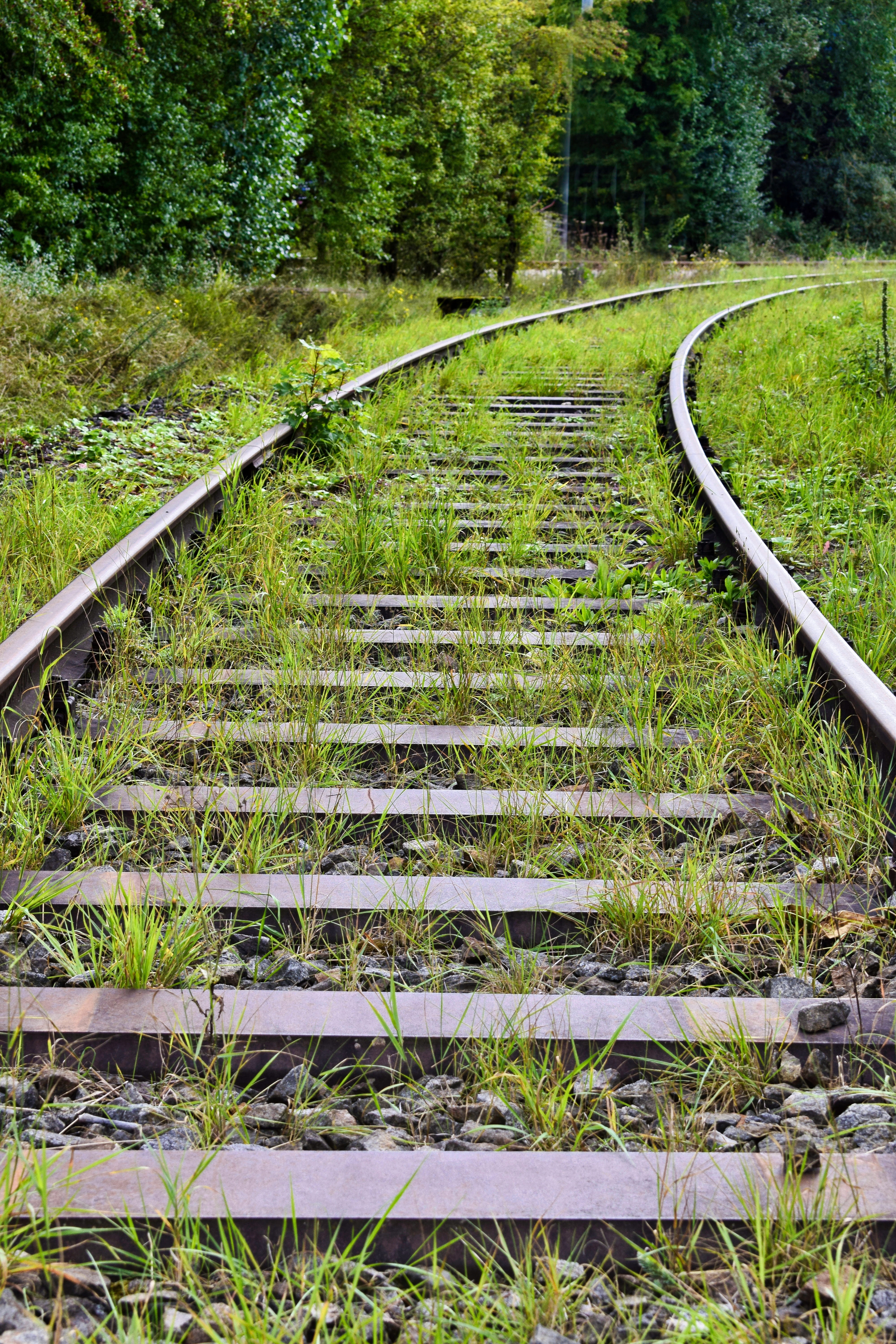 stones, green, tranquility, growth, land, grass, the way forward, plant, curve, deciduous tree, beauty in nature, tree, track, gleise, railway tracks, meadow, Phone HD Wallpaper