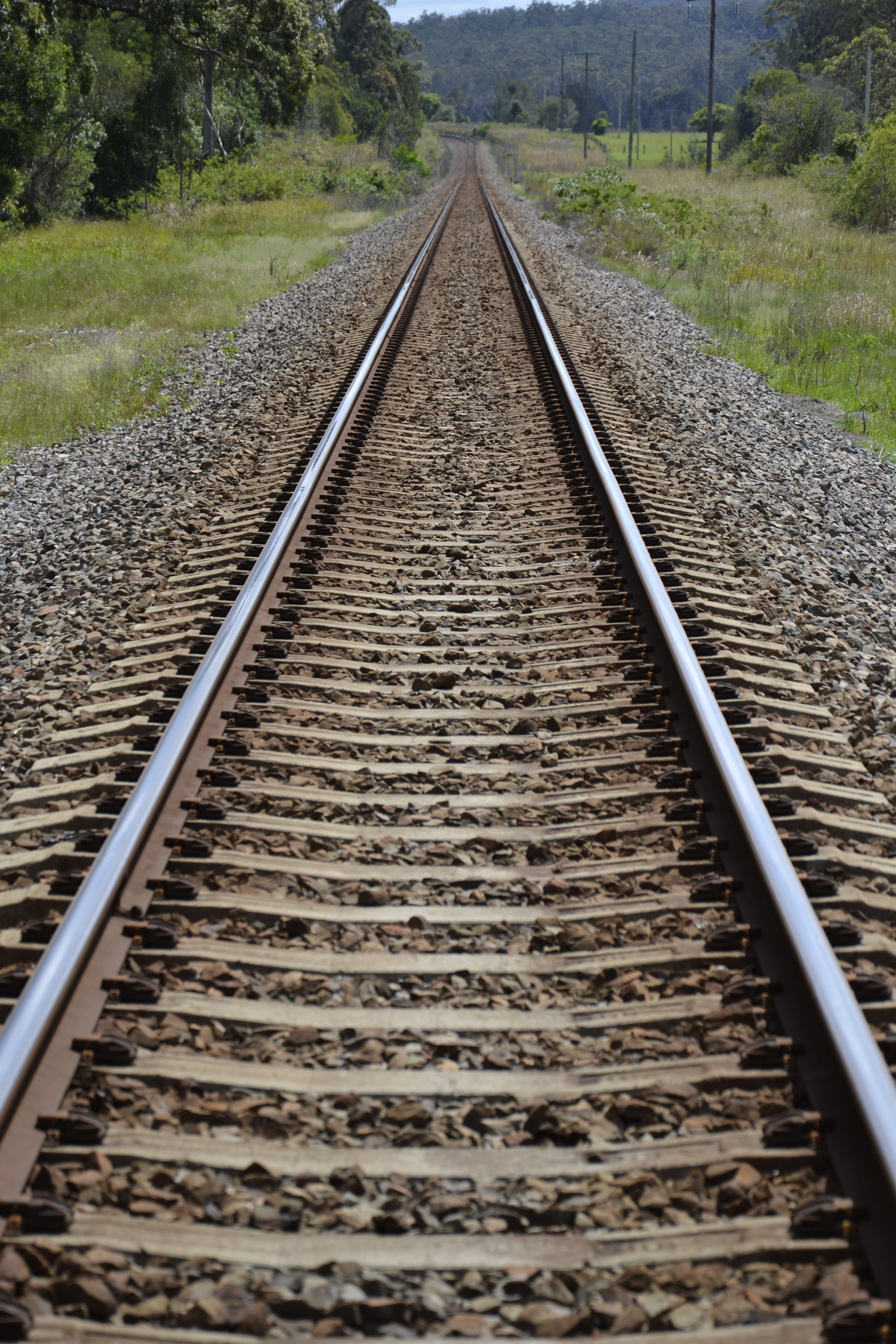 field, outdoors, track, land, the way forward, parallel, tree, transportation, travel, diminishing perspective, rail, 4K, metal, nature, long, direction, Phone HD Wallpaper