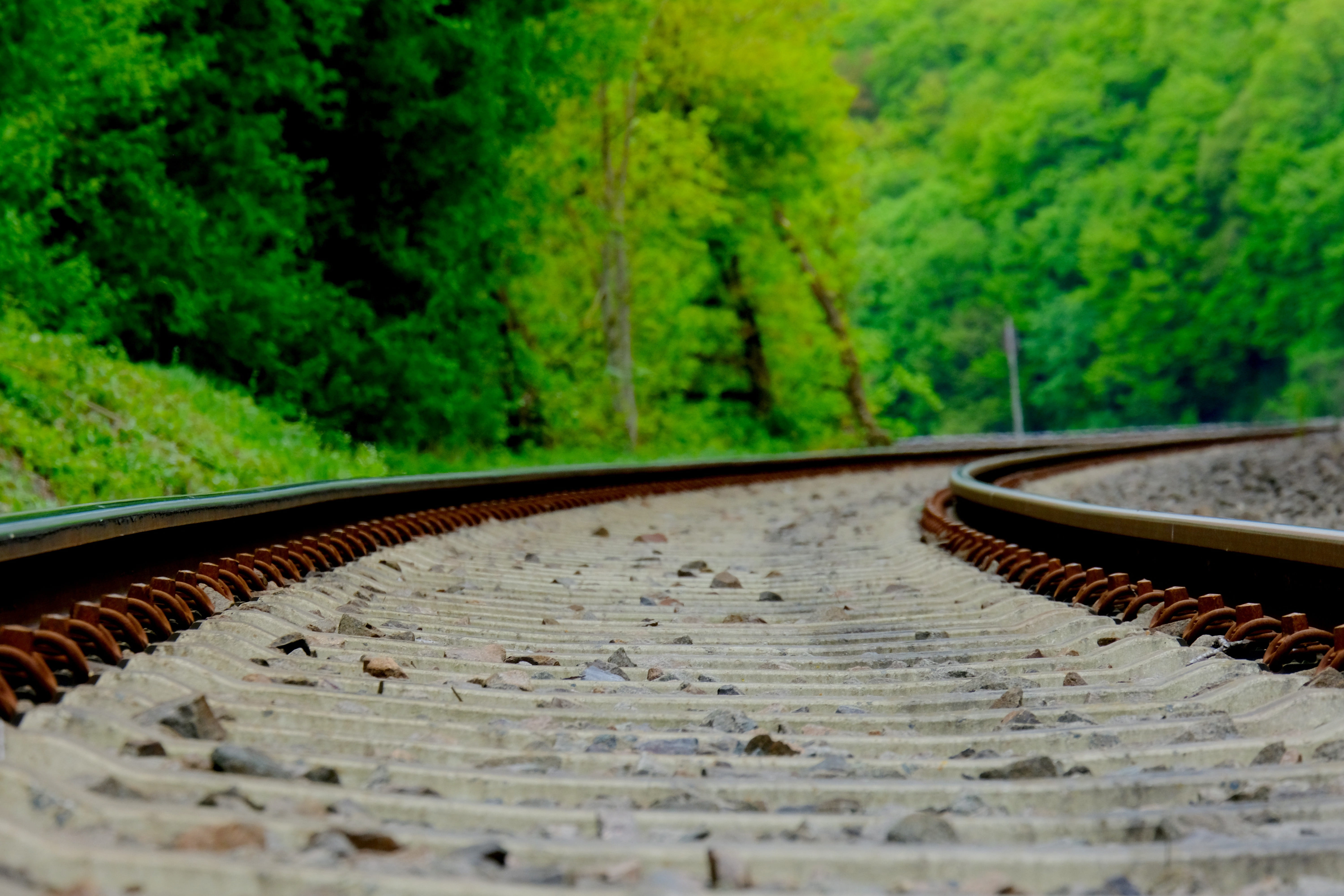 wood - material, tree, growth, seemed, close-up, focus on foreground, railway sleepers, 5K, outdoors, pattern, green color, track, railway, public transportation, HD Wallpaper