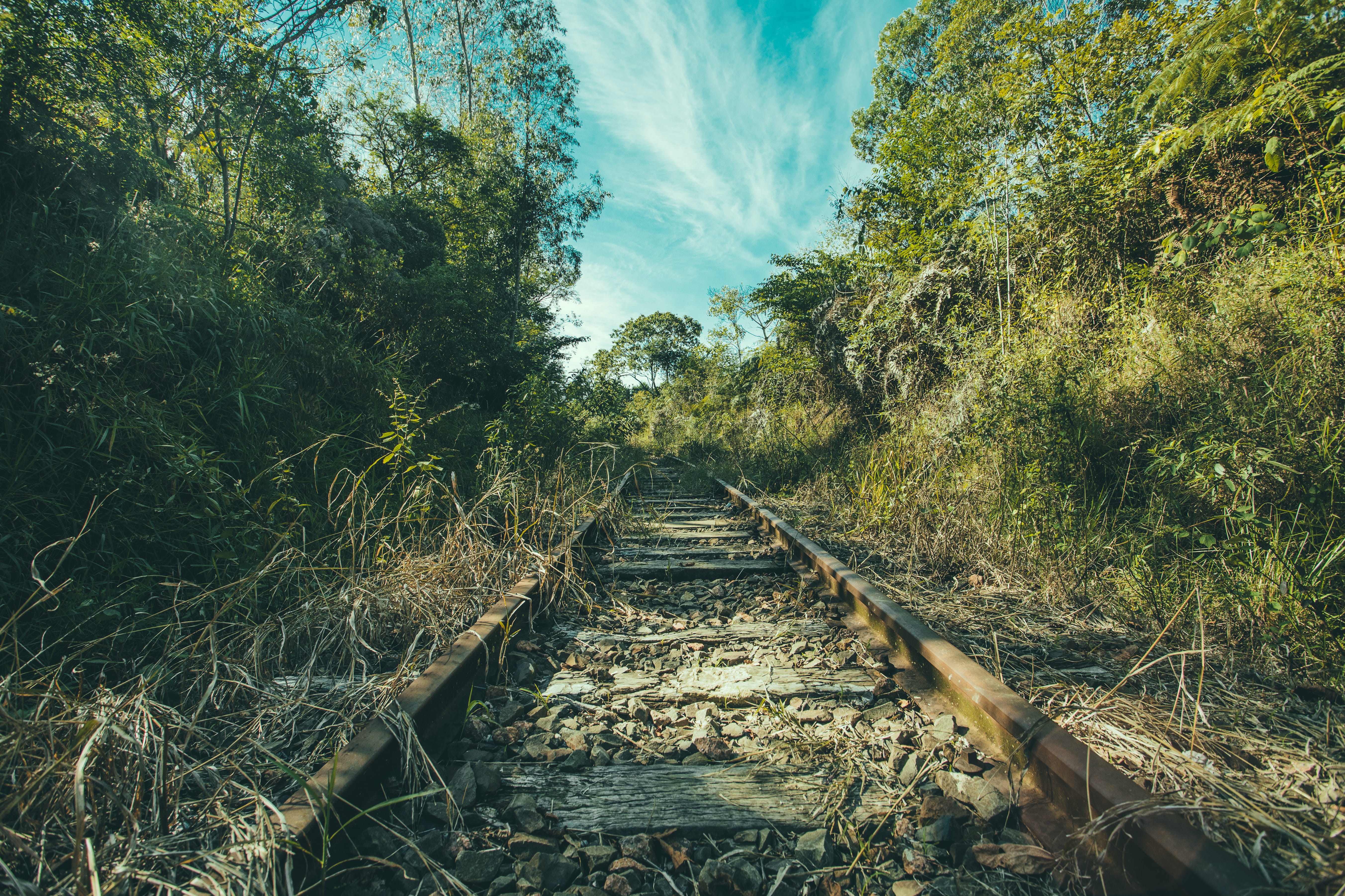 direction, green color, the way forward, day, daylight, sleeper, woods, twigs, 5K, outdoors, tropical, guidance, sky, long, rocks, non-urban scene, train tracks, HD Wallpaper
