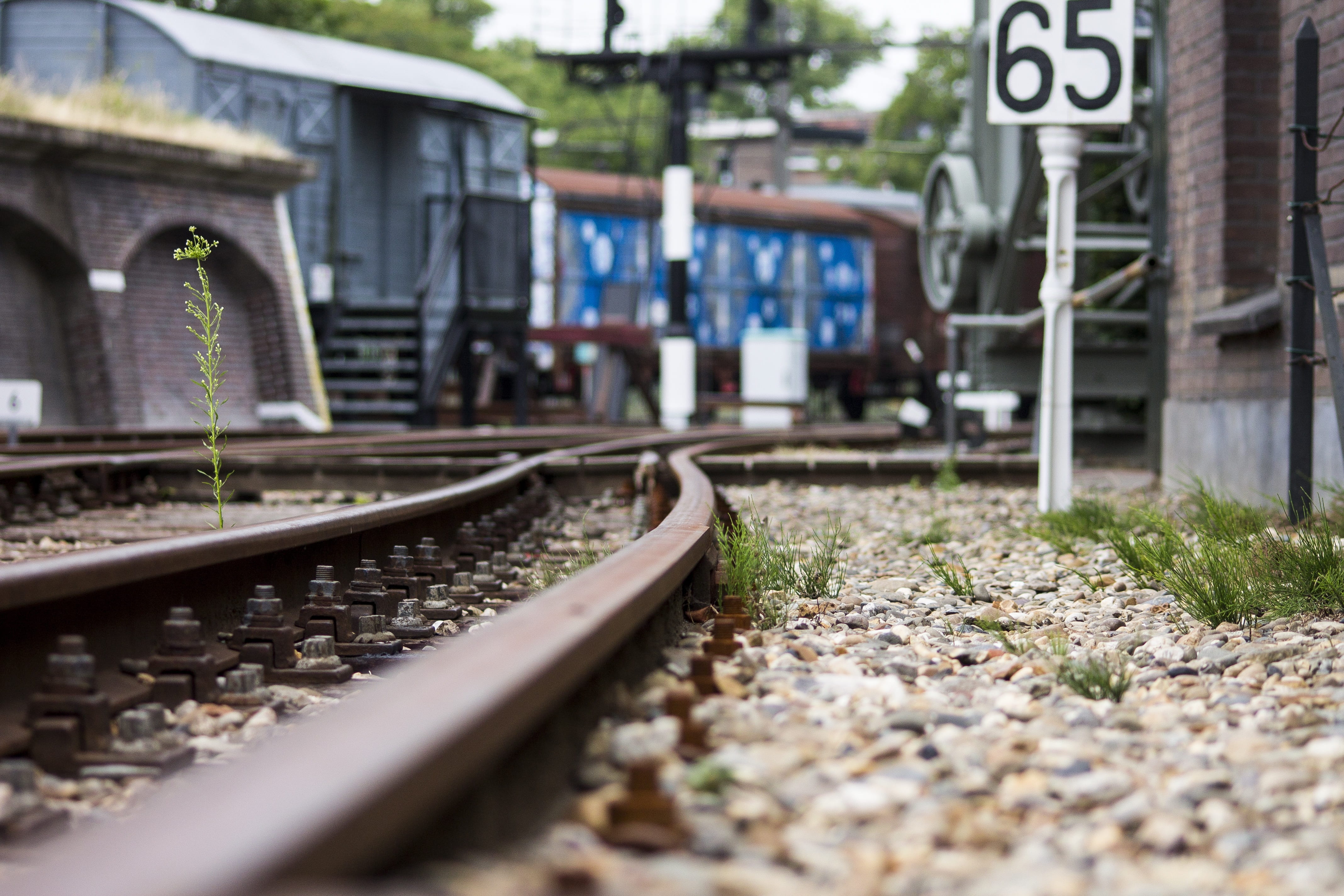 architecture, travel, dutch railways, railroad track, city, public transportation, netherlands, plant, dutch train, sleepers, day, railway, wagon, wagons, HD Wallpaper