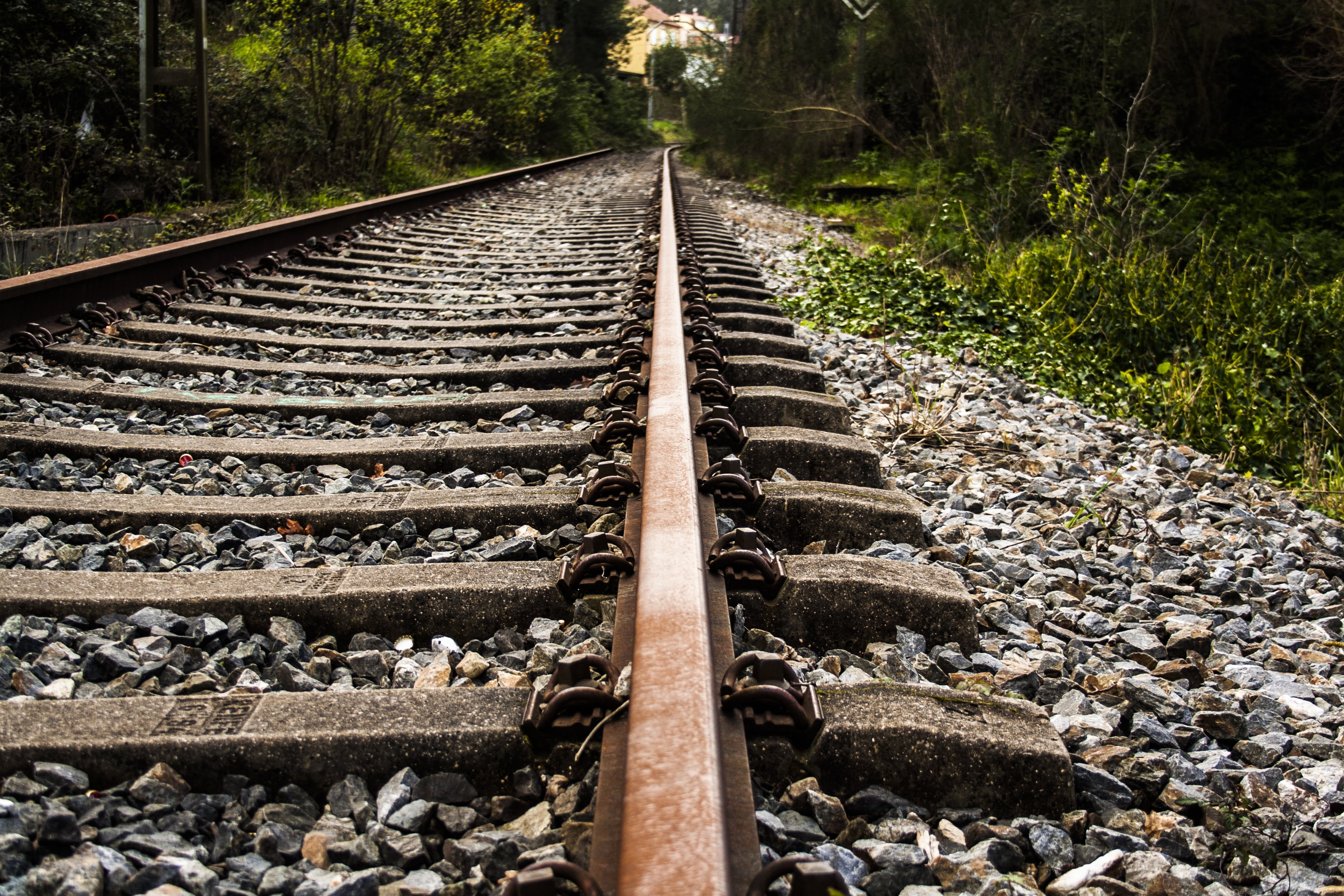 surface level, no people, growth, empty, gravel, track, outdoors, nature, steel, railroad, the way forward, train, pebble, transportation, rail, land, via, HD Wallpaper