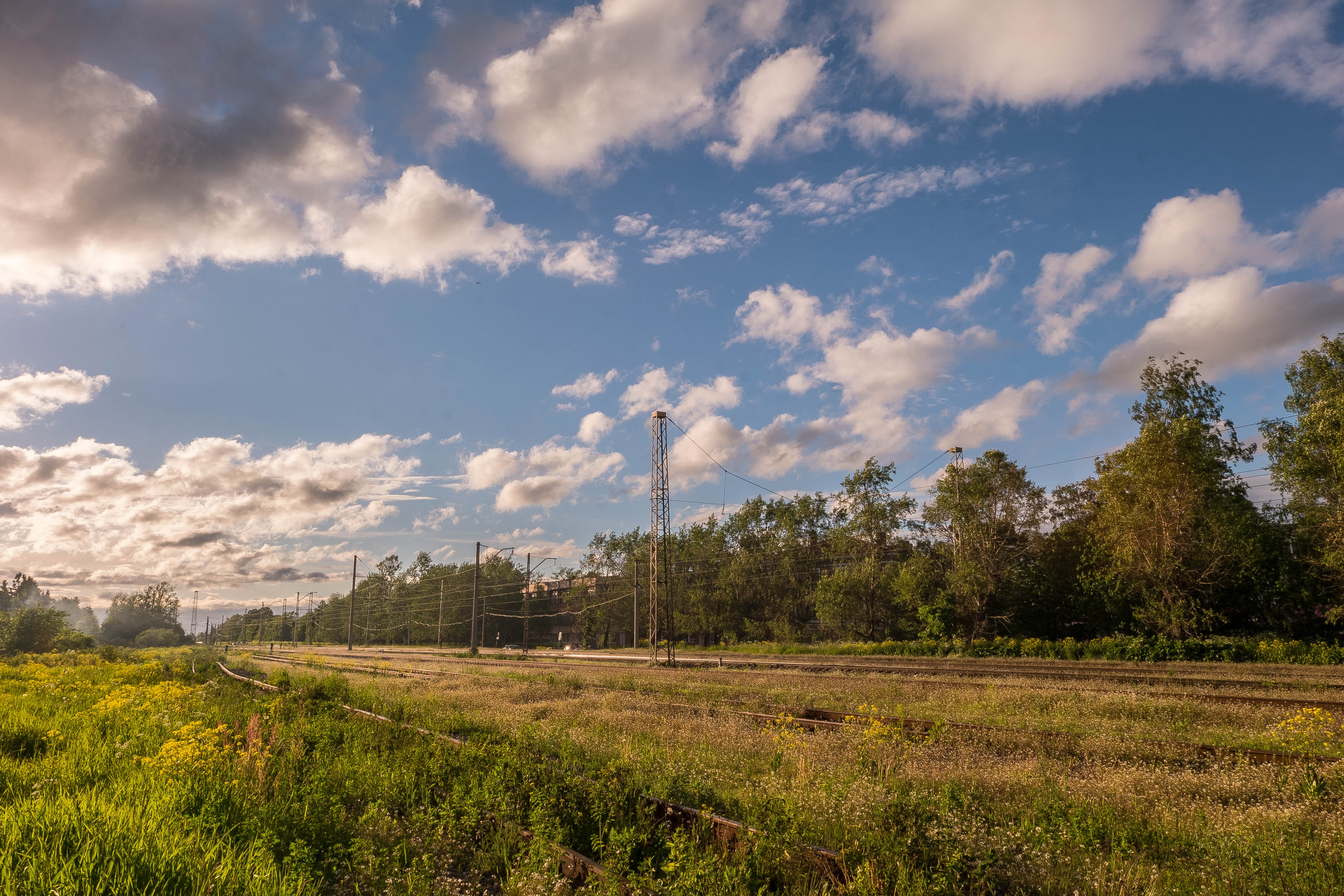 non-urban scene, no people, 4K, greens, Stroll, open space, electricity, Landscape, Beauty, green, amazing, cloud - sky, blue sky, environment, tree, growth, HD Wallpaper