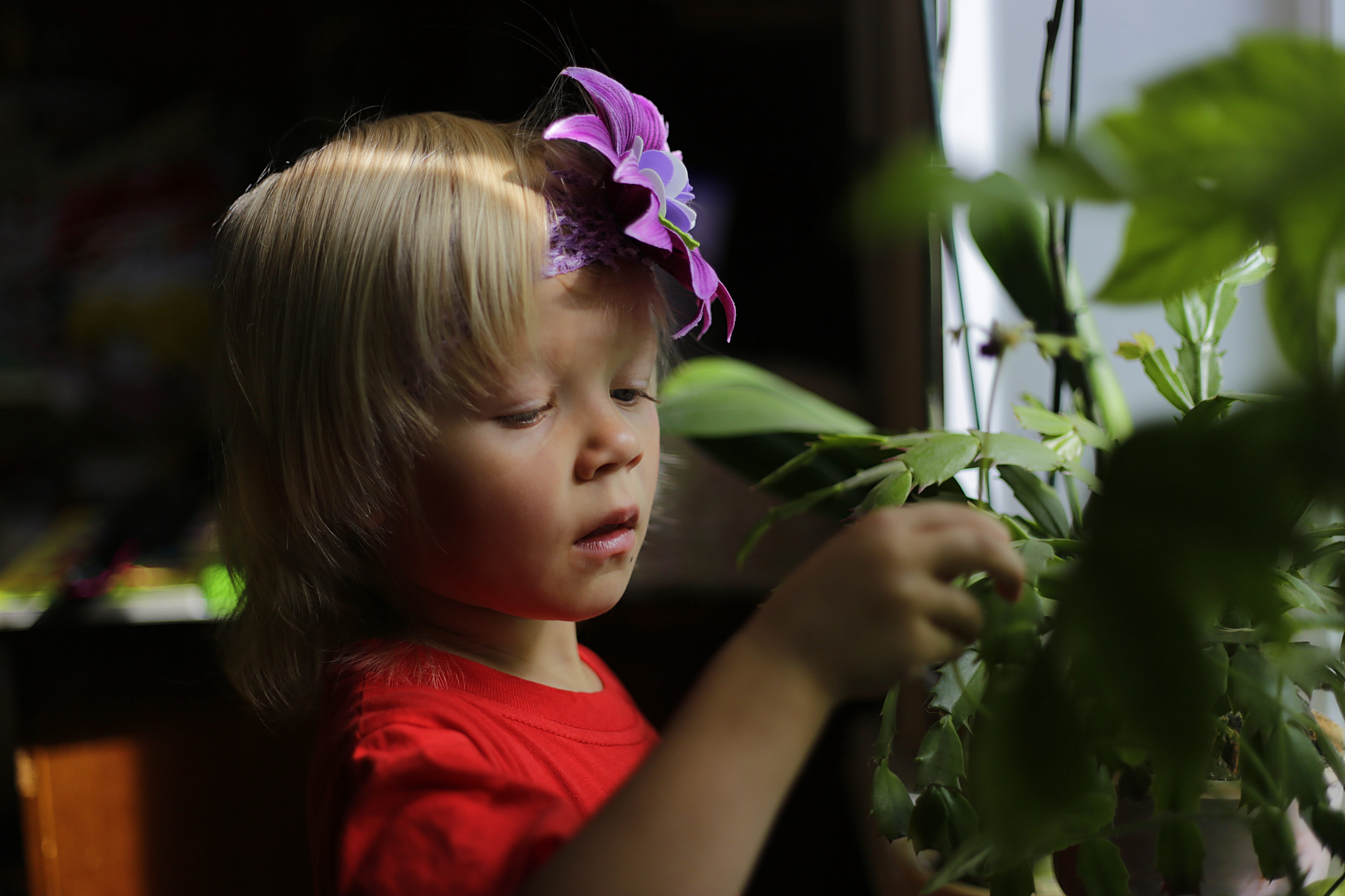 however, touching, game, girls, baby, cute, happiness, emotions, Kids, lovely, plant, innocence, toddler, child, headshot, nature, gatchina, bangs, views, HD Wallpaper