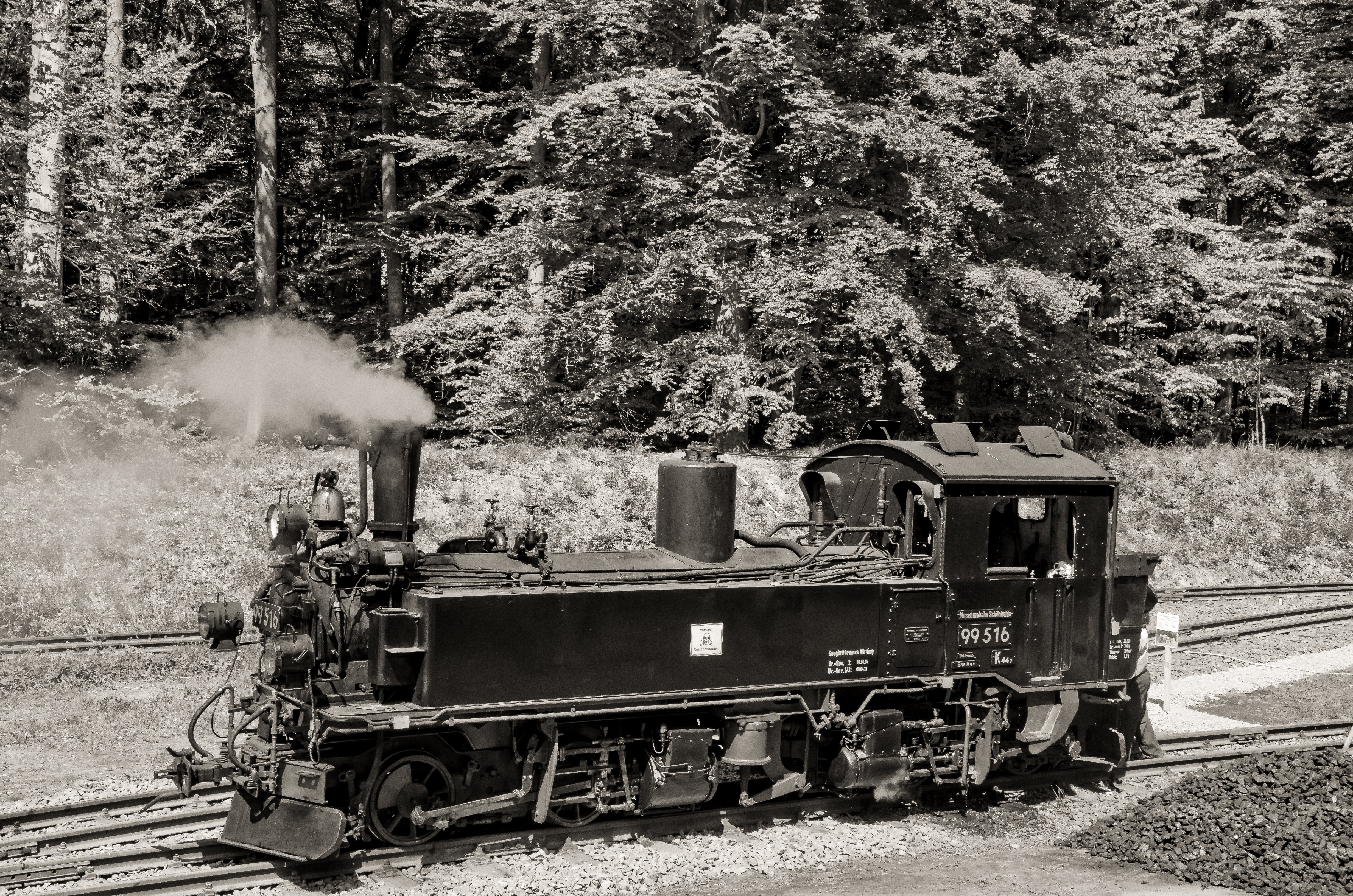 rail traffic, train - vehicle, metal, führerstand, land, field, train, heat, saxony-anhalt, transport, steam locomotive, monochrome, nostalgic, historically, HD Wallpaper