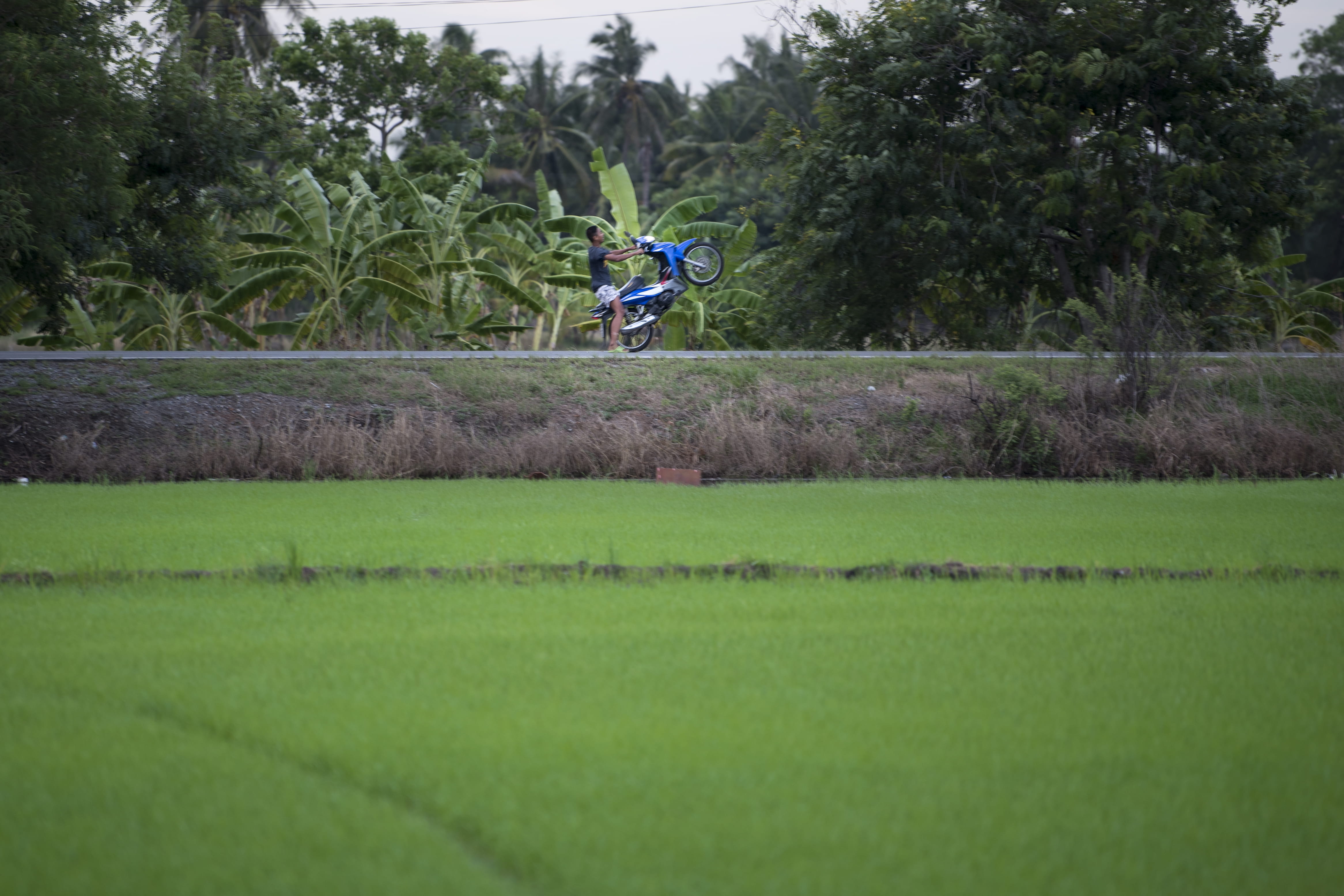 activity, extreme, one person, day, field, growth, nature, kids, grass, real people, adventure, land, men, safety, green, lifestyles, ride, tree, unsafe, HD Wallpaper