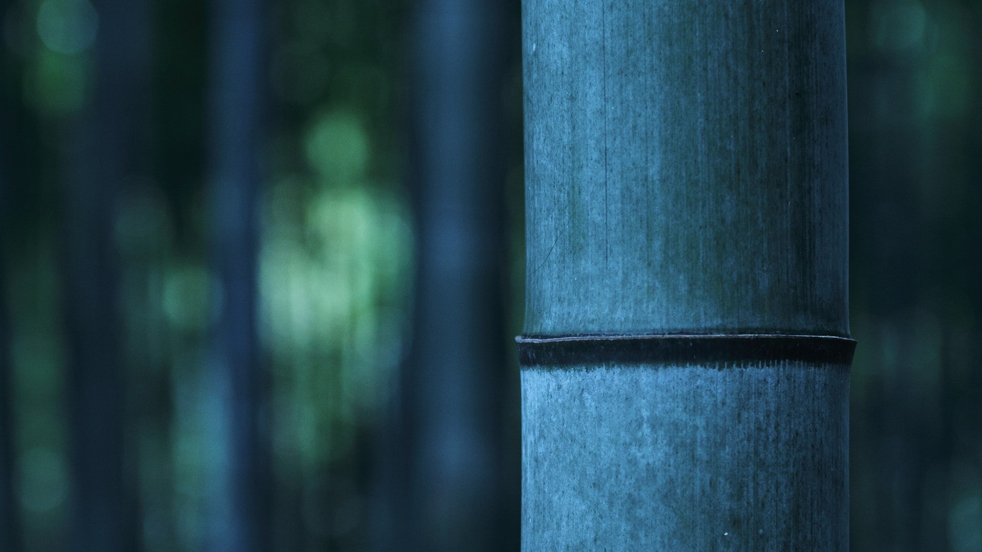 alloy, wood - material, pattern, blue, architectural column, metal, no people, tree, growth, day, 1080P, bamboo - plant, steel, nature, tree trunk, plant, HD Wallpaper