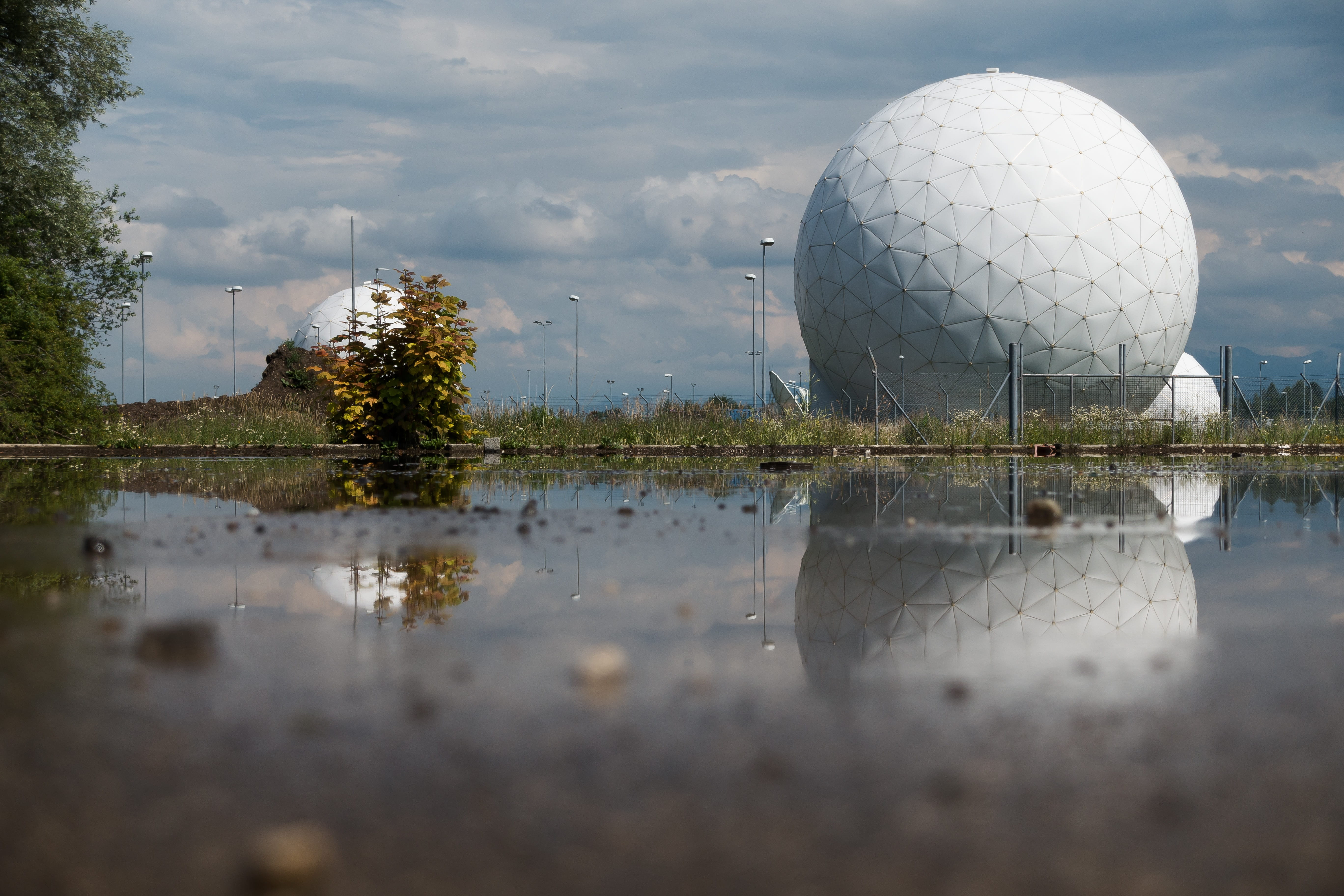 technology, to listen, nsa, plant, secret service, white, tree, message transmission, reflection, federal news service, mirroring, activity, structure, HD Wallpaper
