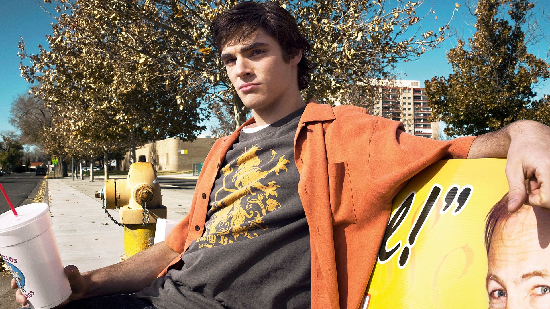 Walter White Jr., TV Show, 1080P, RJ Mitte, Breaking Bad, HD Wallpaper