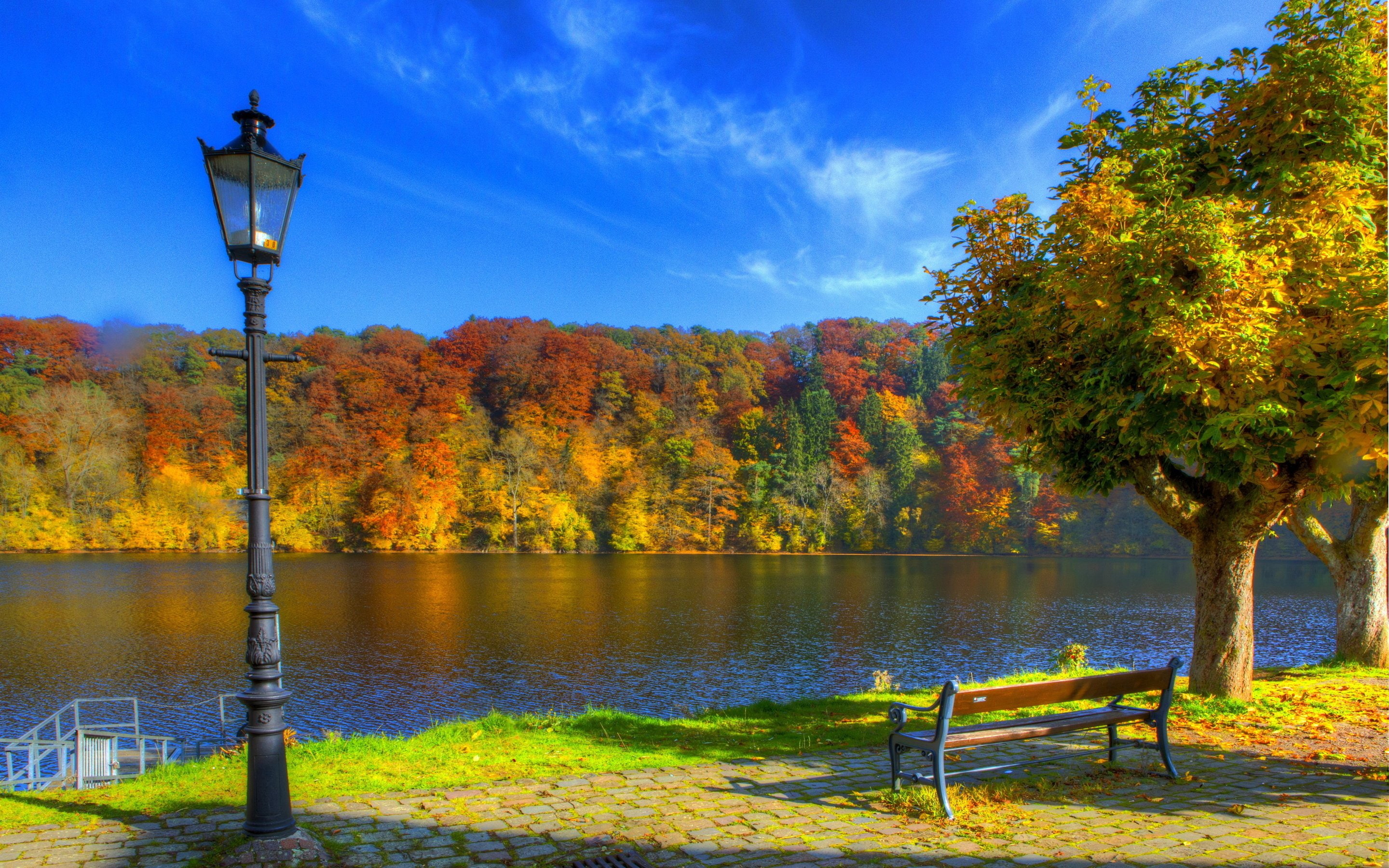 autumn, ulm, germany, river, lights, sky, bench, 2K, HD Wallpaper