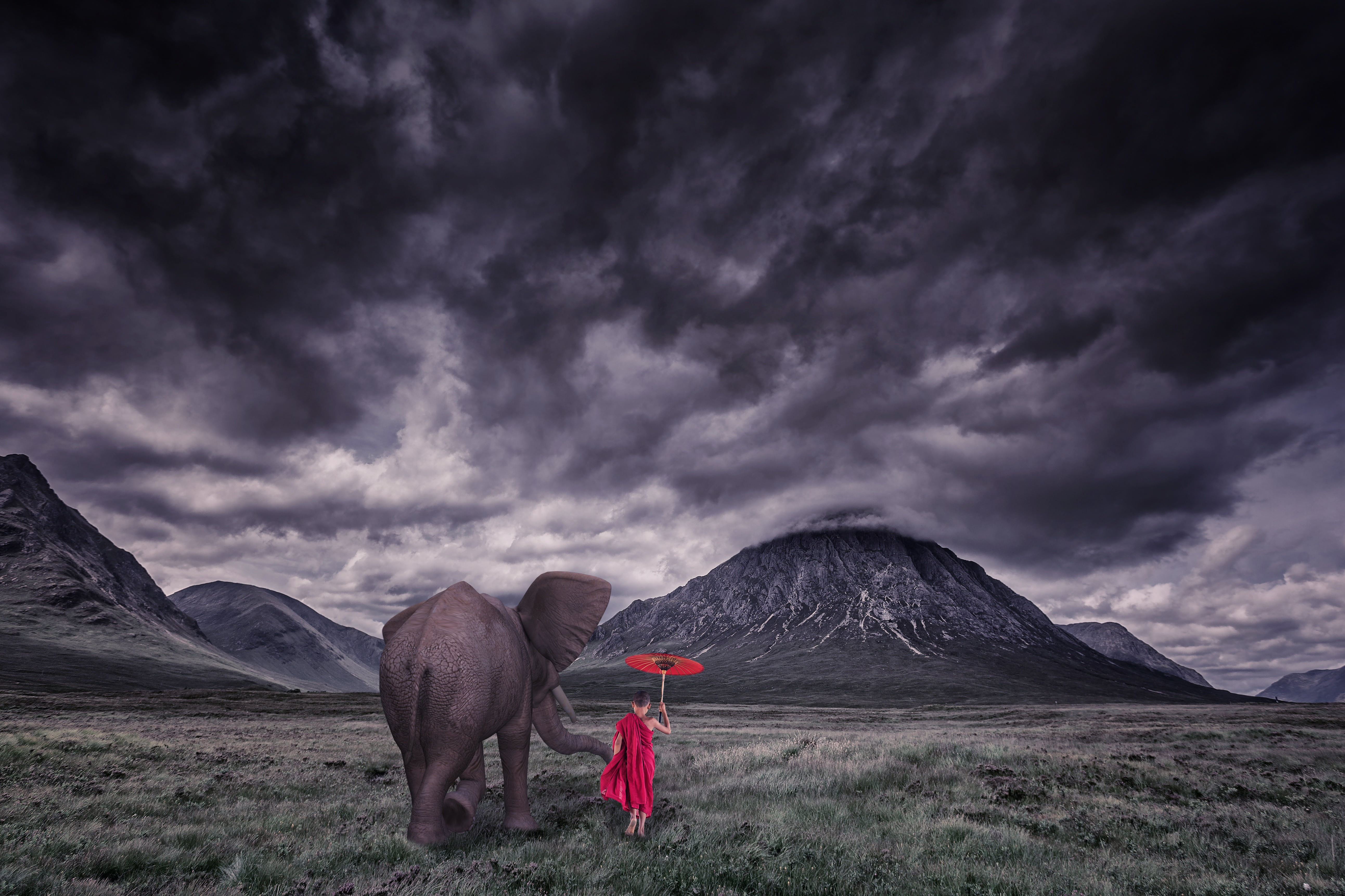 land, field, outdoors, rain, storm, cloud - sky, mountain, thunderstorm, painting, friendship, elephant, ominous, further away, overcast, monk, ash, nature, HD Wallpaper