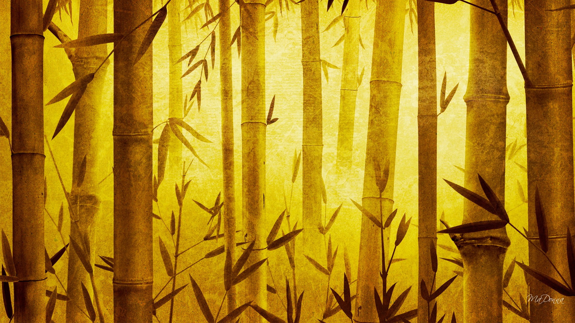1080P, artistic, art, bamboo, HD Wallpaper