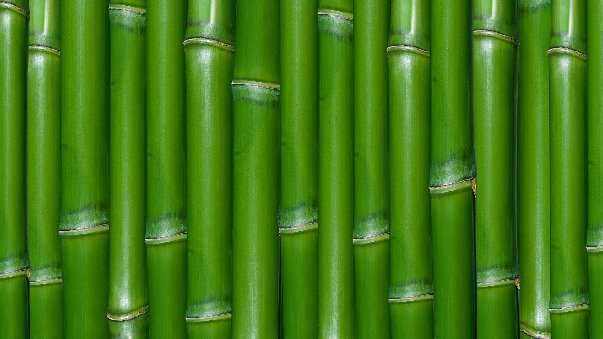 abstract, 1080P, x, art, hd, textures, macro, bamboo, Green, HD Wallpaper