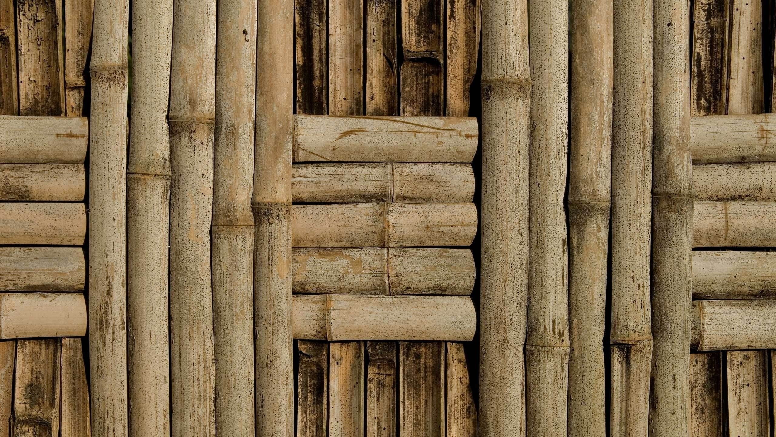 wood - material, wall - building feature, brown, full frame, craft, backgrounds, textured, bamboo, 2K, wood, architecture, day, pattern, close-up, built structure, HD Wallpaper