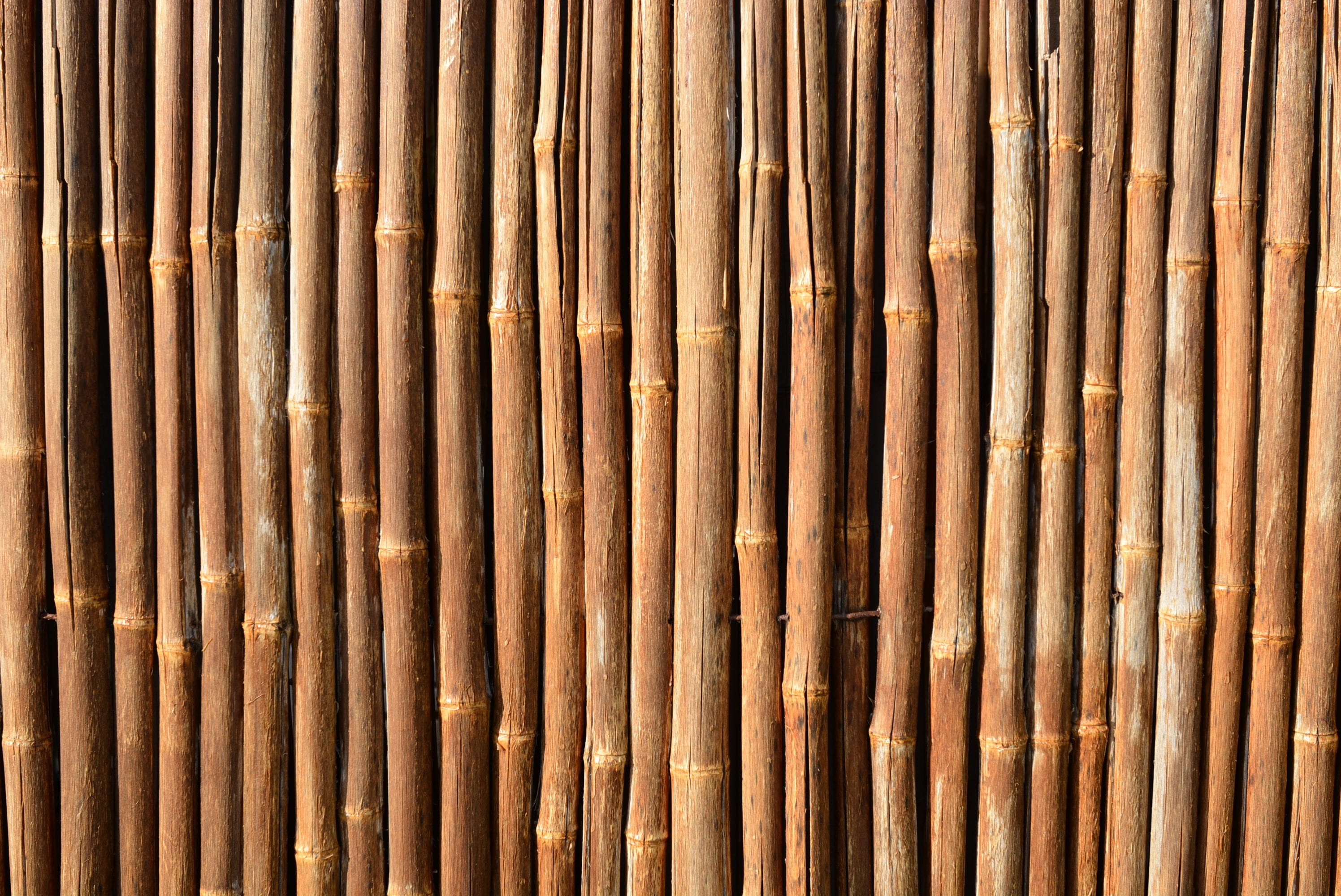 tree, 2K, iron, day, bamboo, no people, steel, backgrounds, outdoors, repetition, alloy, textured, travel, spa, weathered, rod, pattern, metal, full frame, HD Wallpaper