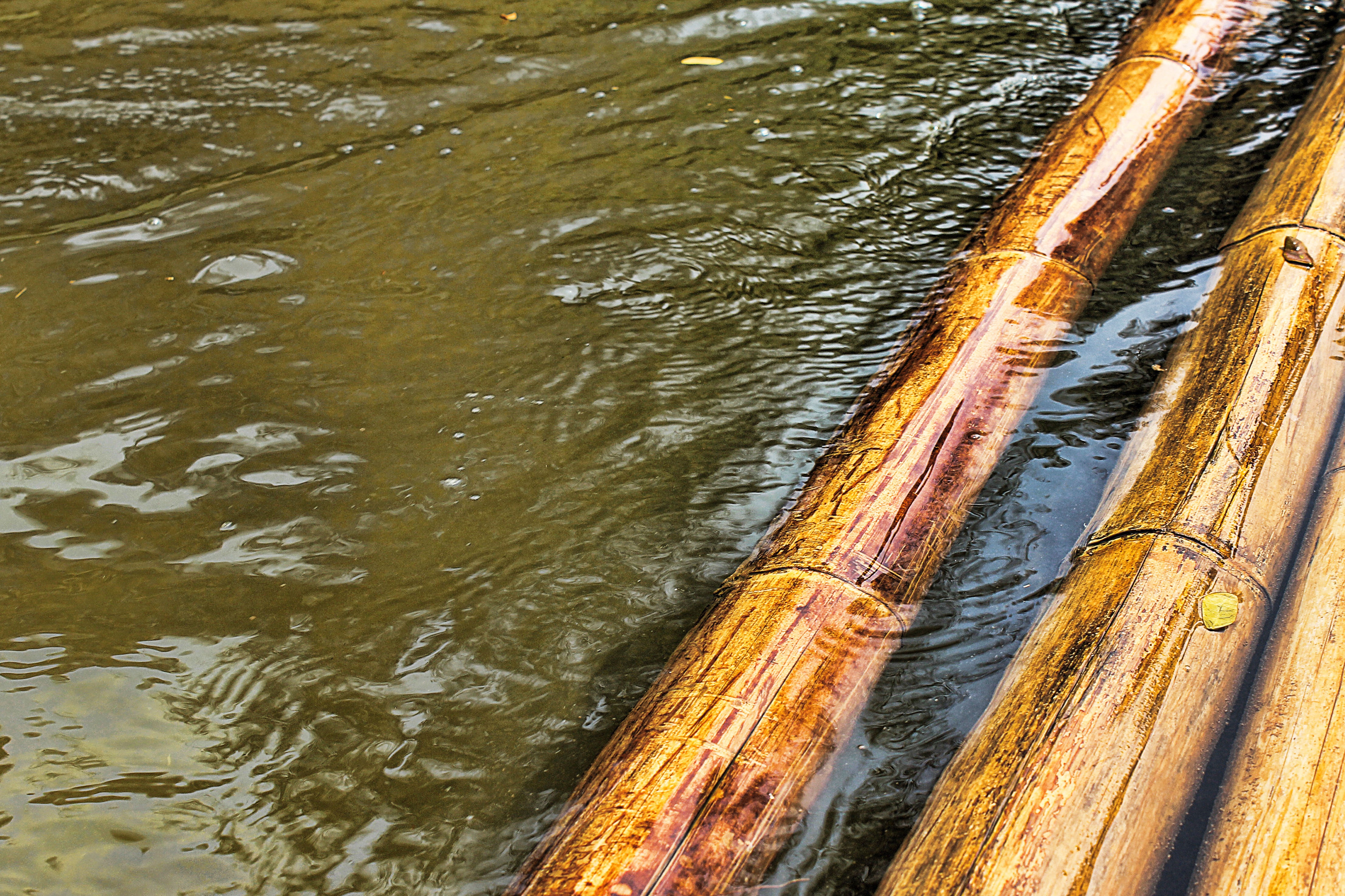 pattern, body, river, pollution, waterfront, 4K, floating, motion, high angle view, rippled, rods, land, drive, wood, outdoors, swim, no people, nature, HD Wallpaper