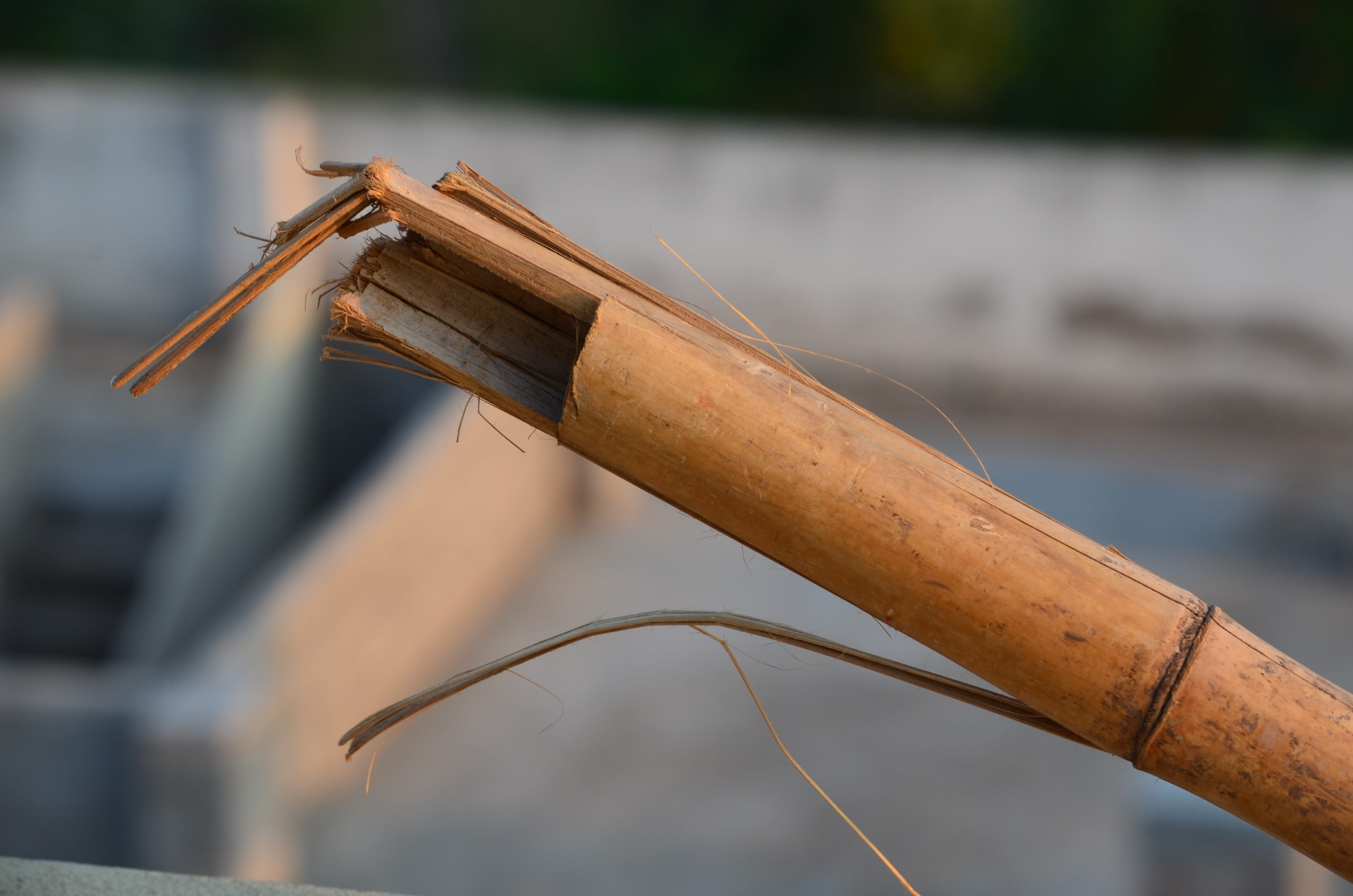 4K, day, rod, no people, wood - material, close up, lake, rusty, bamboo, water, bamboo - material, outdoors, weapon, brown, nature, firearm, wood, branch, HD Wallpaper