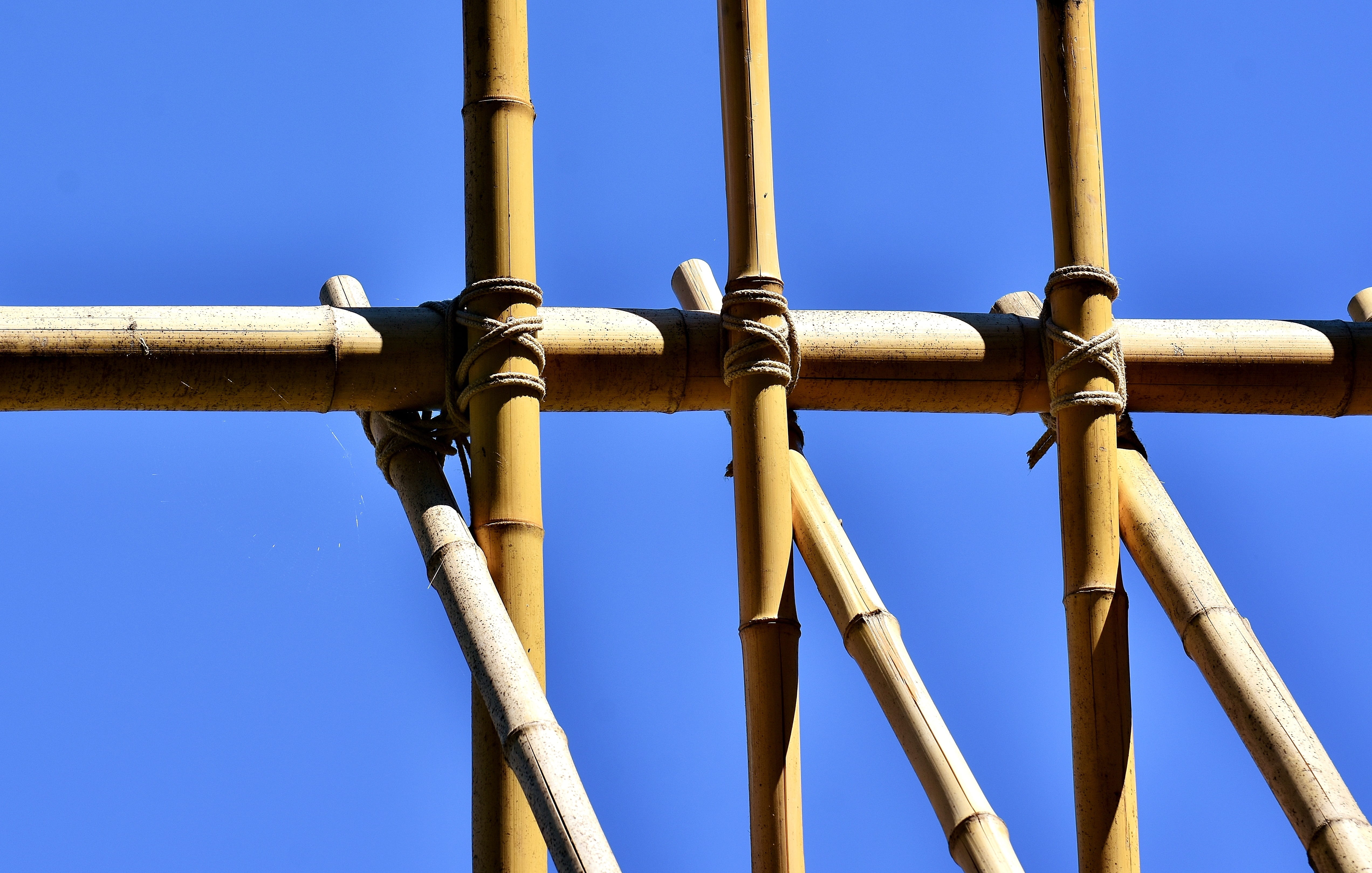 bamboo rods, natural material, no people, sunlight, bamboo cane, blue, clear sky, pipe - tube, metal, low angle view, rods, day, knotted, power supply, HD Wallpaper