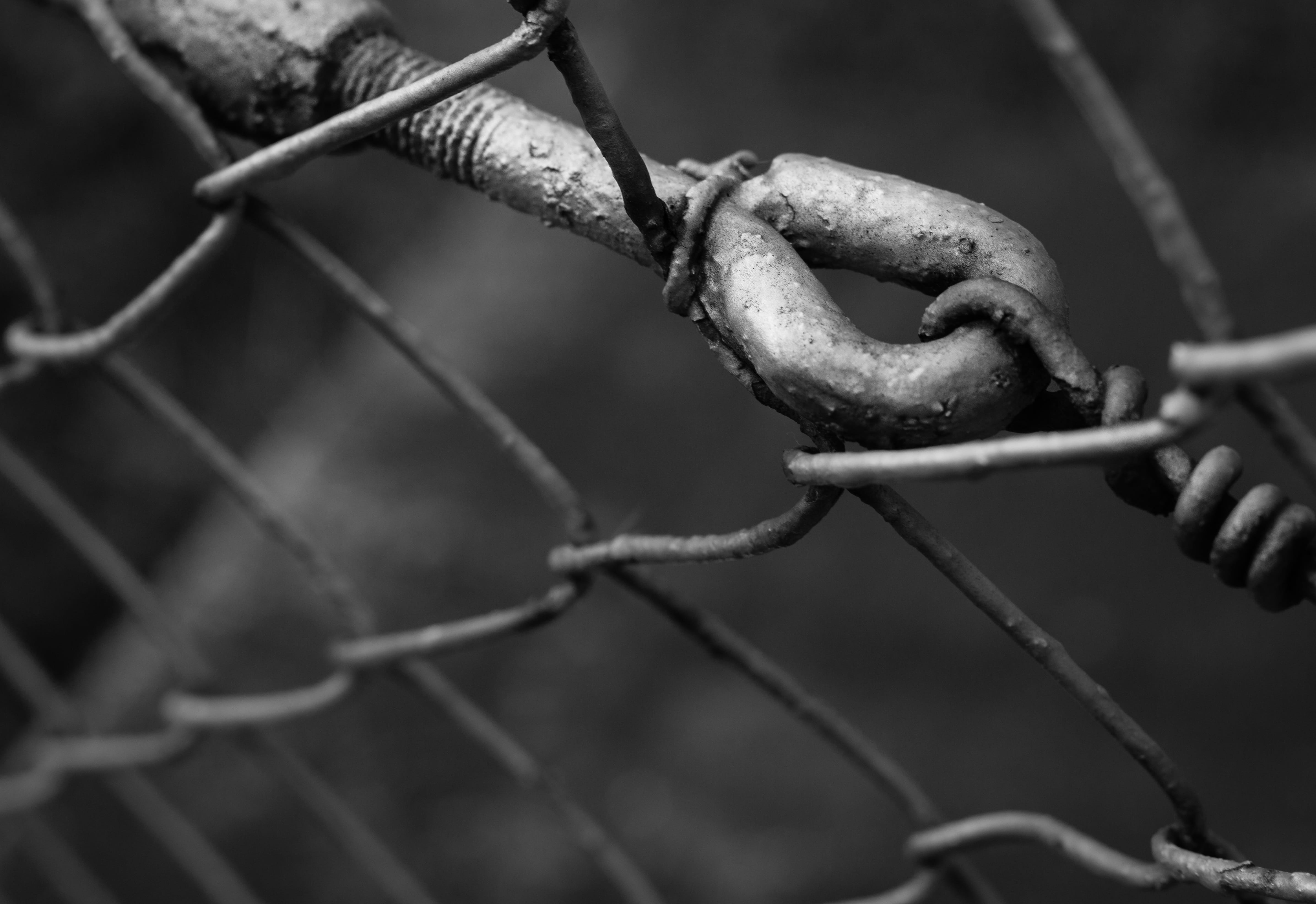 prison, 4K, steel, Wire, grating, Black And White, animal wildlife, fenced, atmosphere, protection, chain, animal themes, city, closing, wires, barbed wire, HD Wallpaper