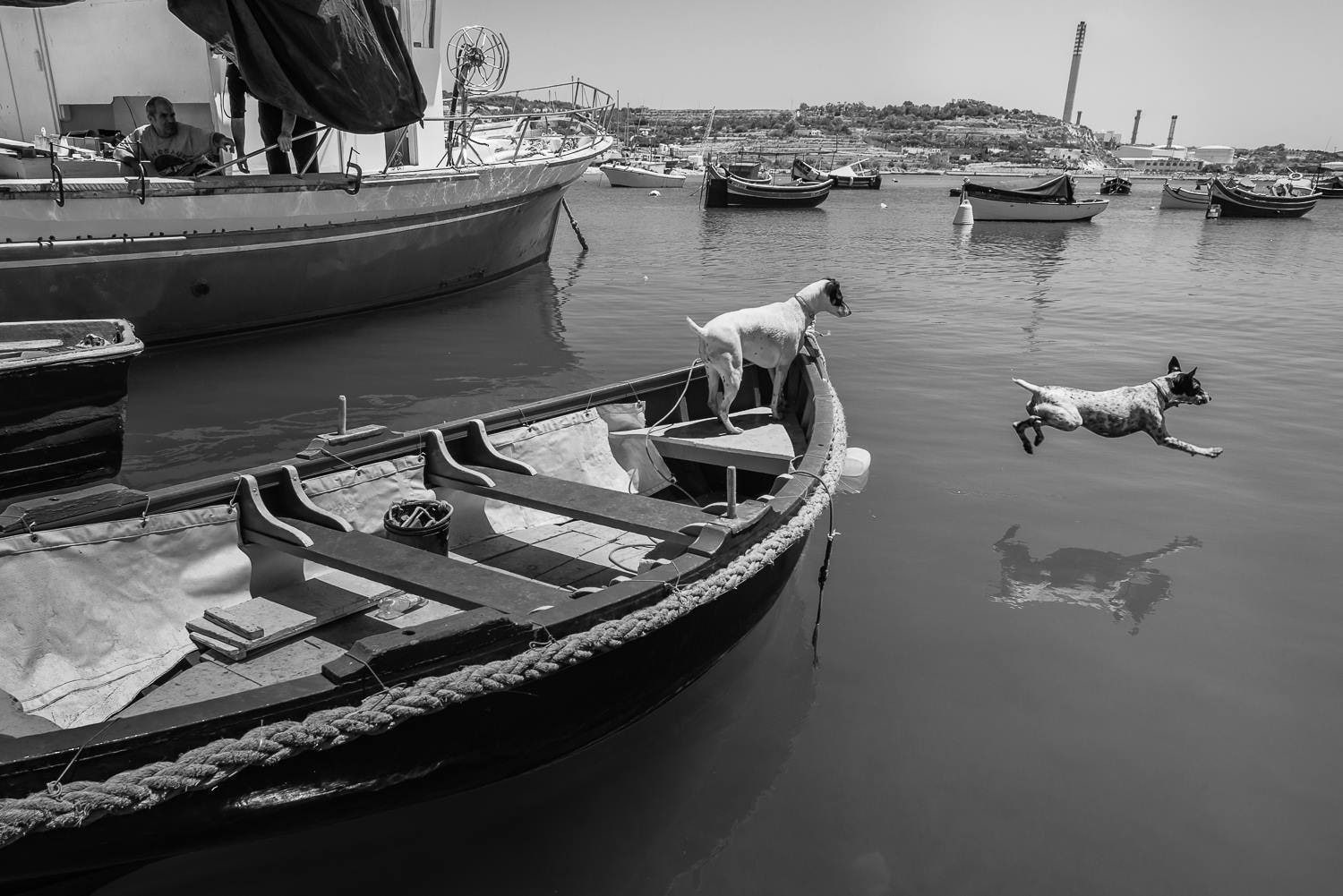reflection, day, mode of transportation, sky, occupation, white, real people, black, nautical vessel, 720P, floating on water, outdoors, sea, travel, boat, HD Wallpaper