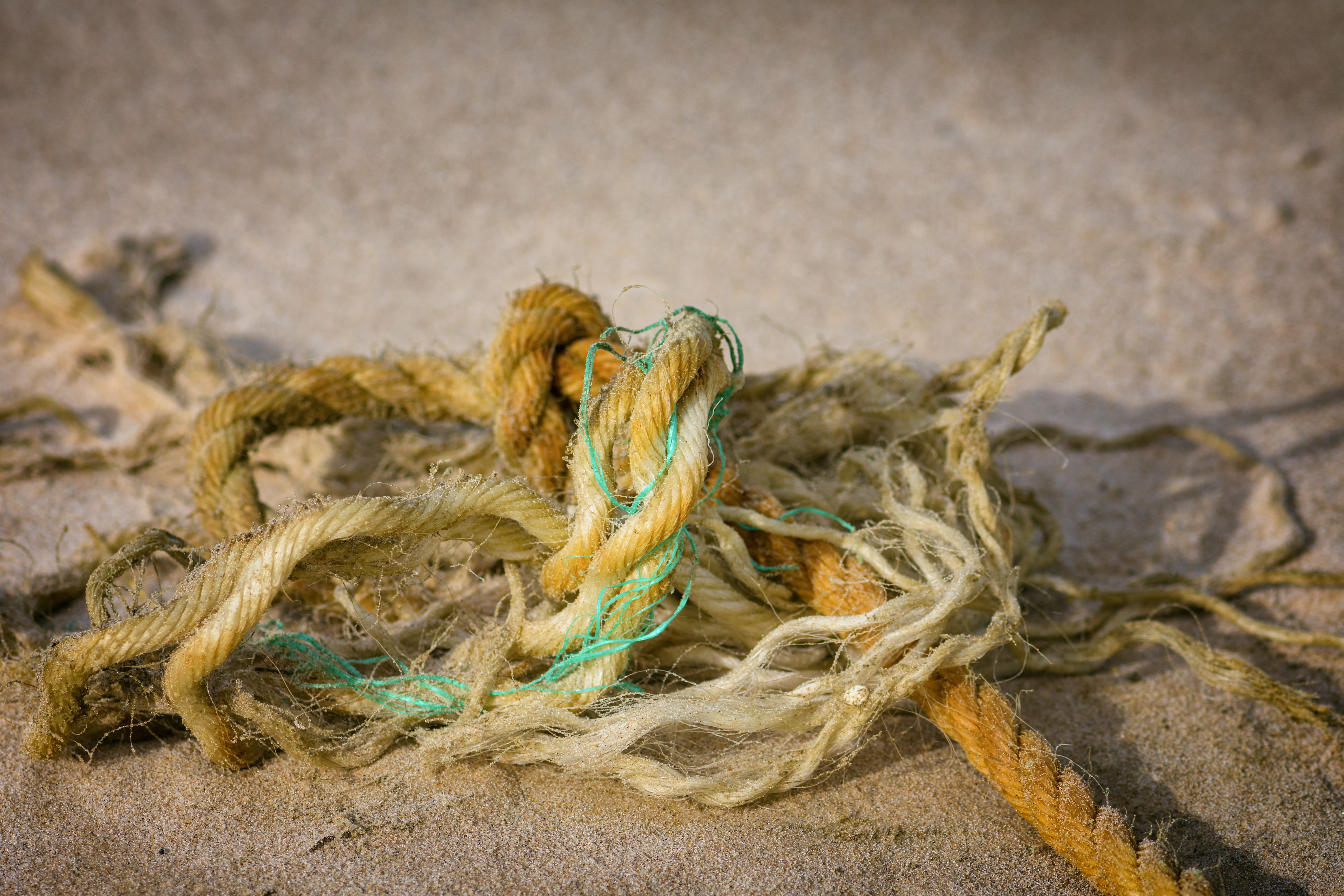 seafaring, garbage, still life, knot, focus on foreground, outdoors, denmark, high angle view, the north sea beach, day, strength, leash, rope, nature, HD Wallpaper