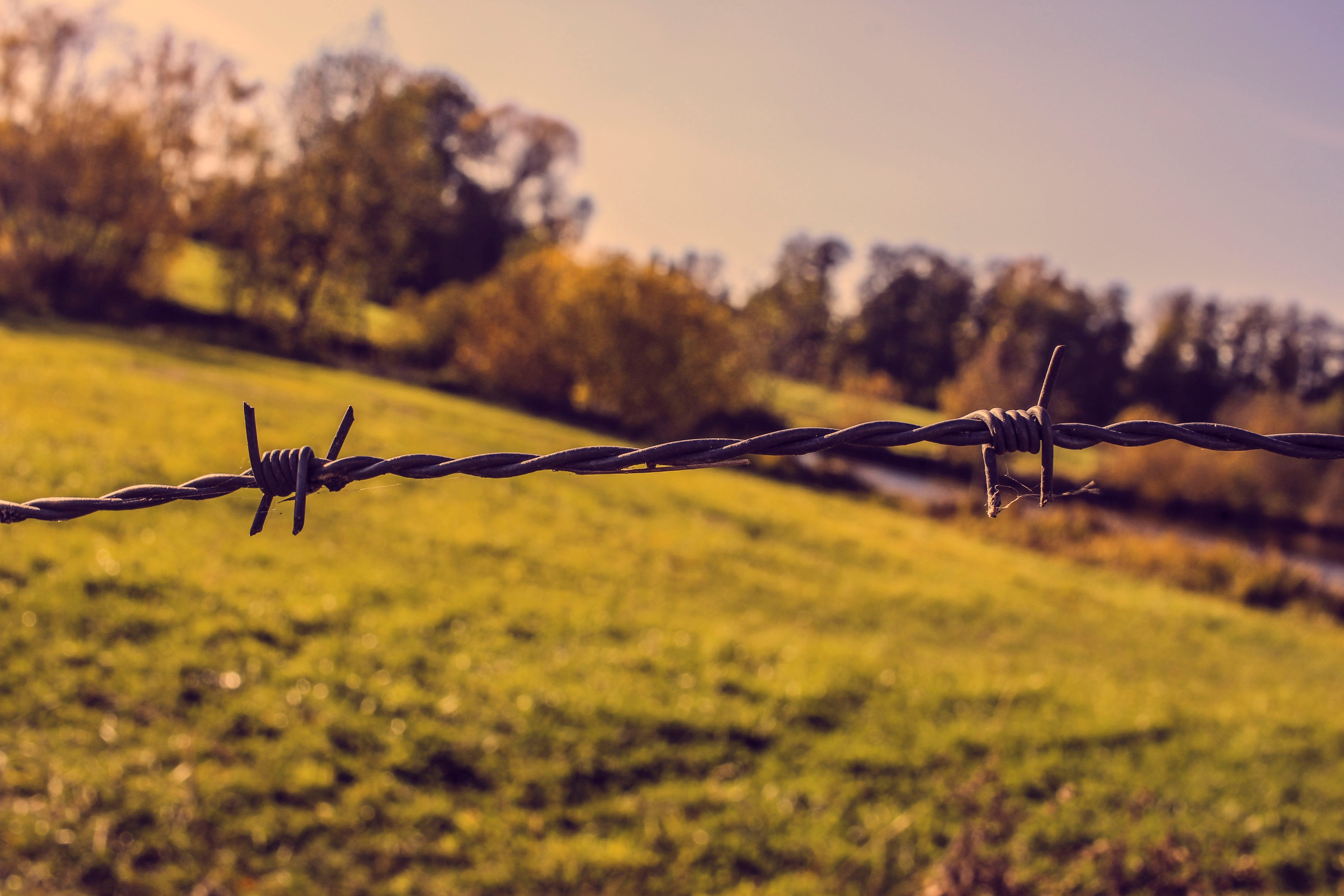 wire, barrier, outdoors, summer, background, field, boundary, land, demarcation, hell, metal, border, focus on foreground, day, fence, protection, sharp, HD Wallpaper