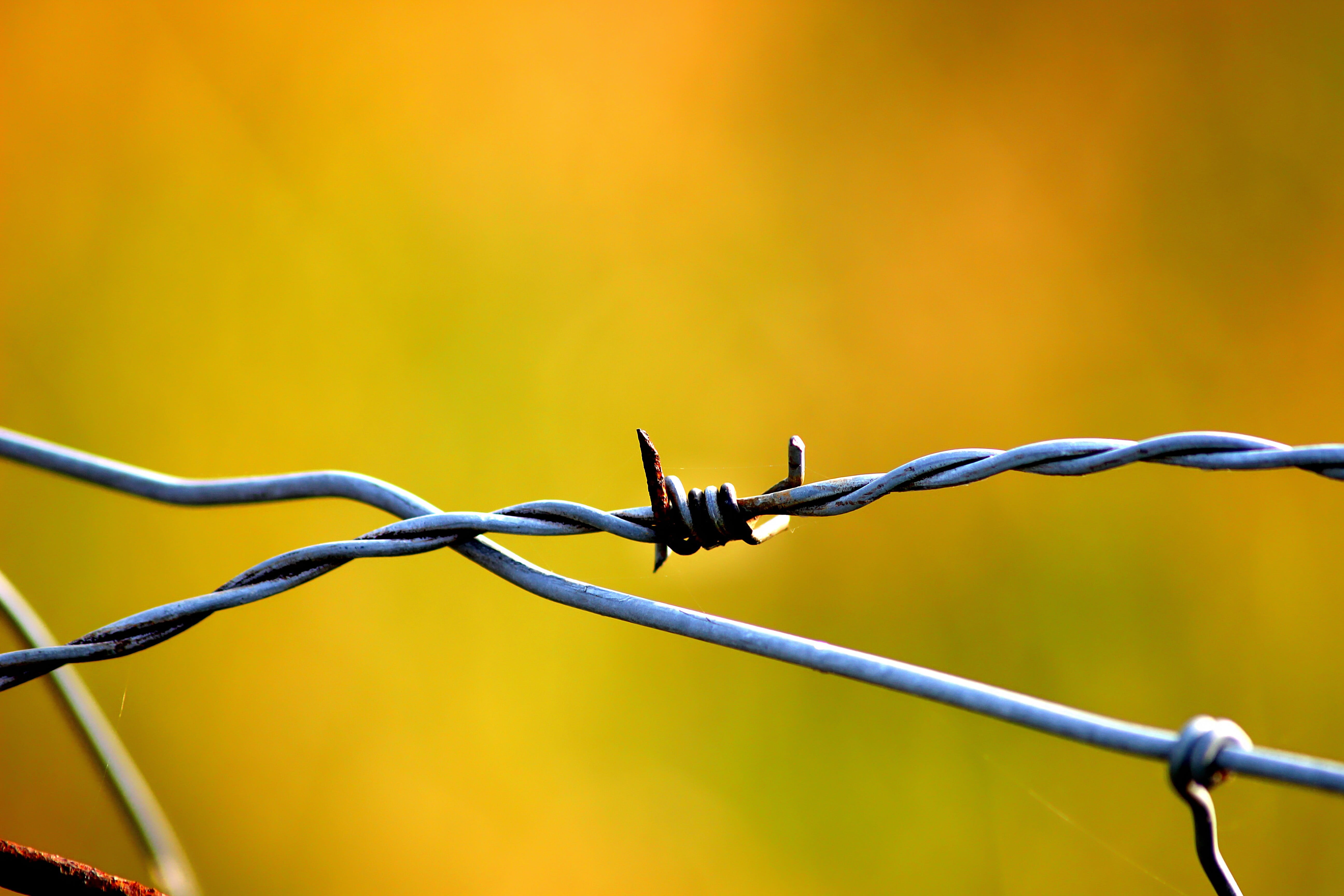 sign, caution, alloy, boundary, iron, demarcation, communication, 5K, outdoors, close up, nature, protection, wire, fence, exclusion, fenced, no people, HD Wallpaper