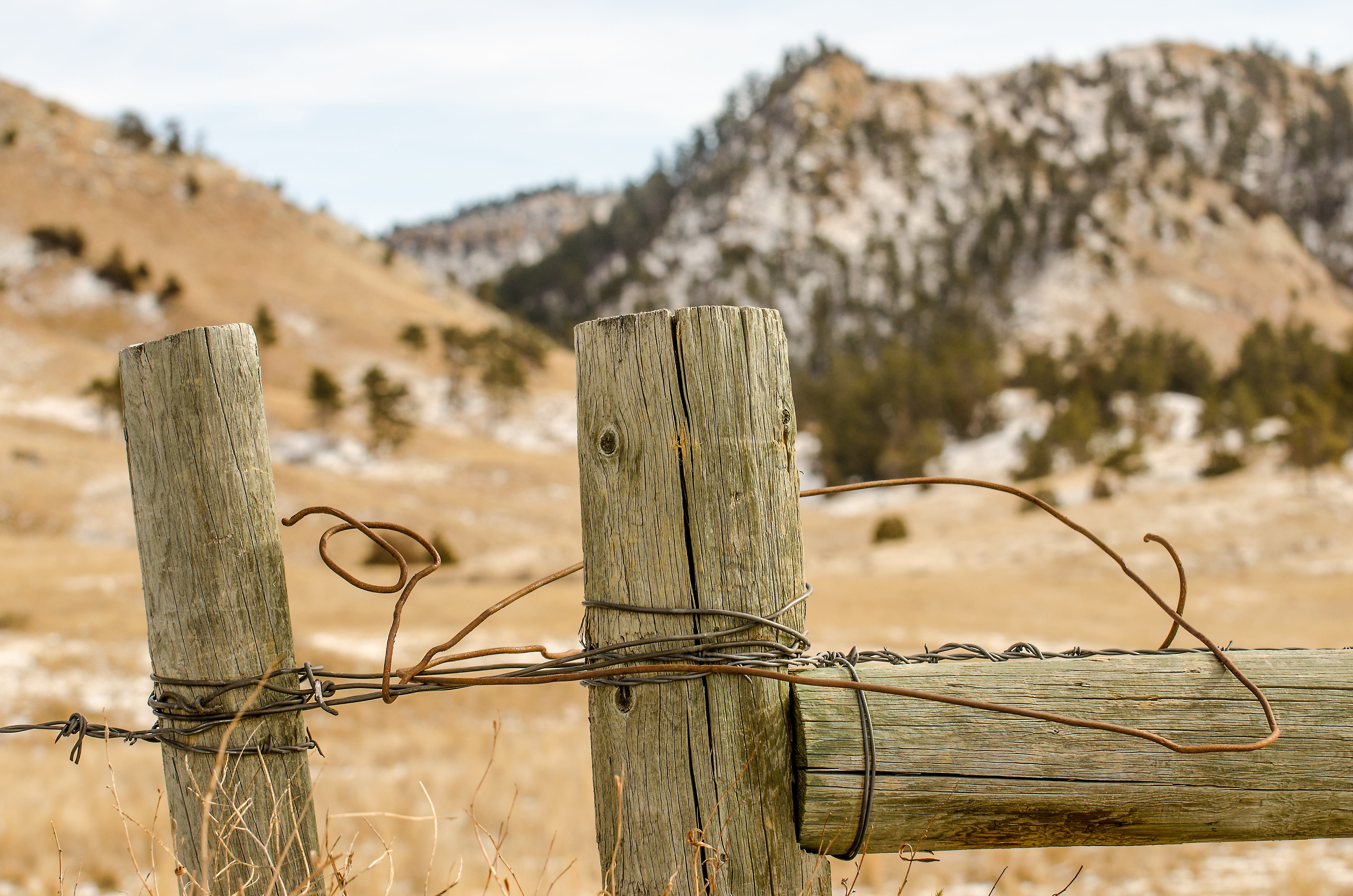 barbwire, agriculture, mountain, land, arid climate, outdoors, barrier, 4K, plant, pasture, field, countryside, rural, Fence, protect, cattle, focus on foreground, HD Wallpaper