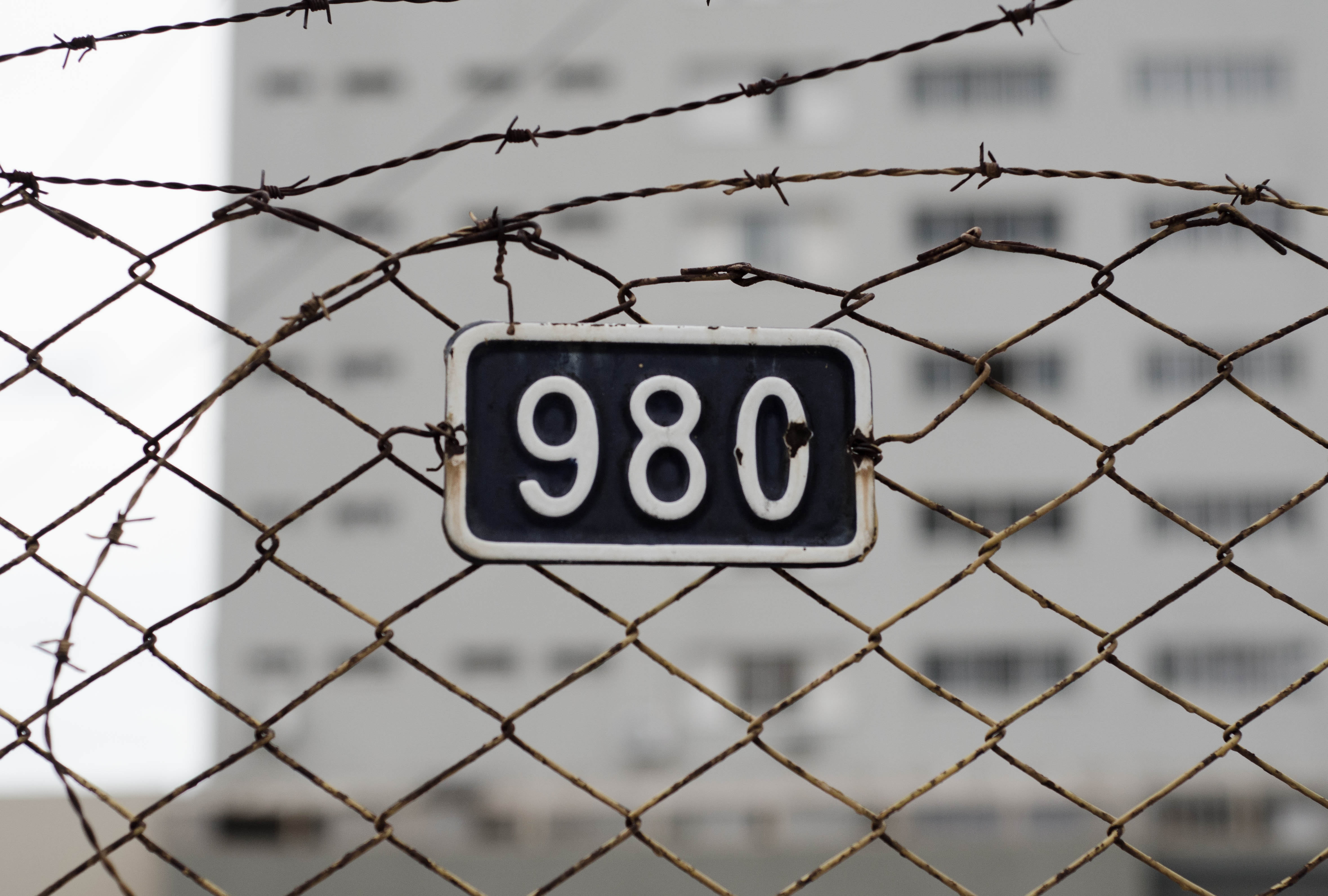 forbidden, information, net, warning sign, no people, western script, jail, sign, outdoors, chainlink fence, danger, focus on foreground, wire mesh, rustic, HD Wallpaper